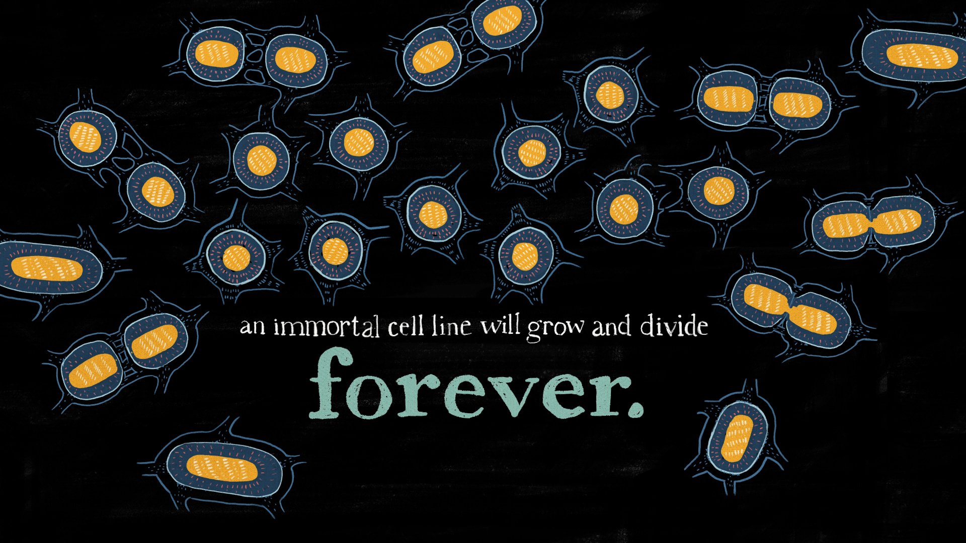 02_cells.jpg
