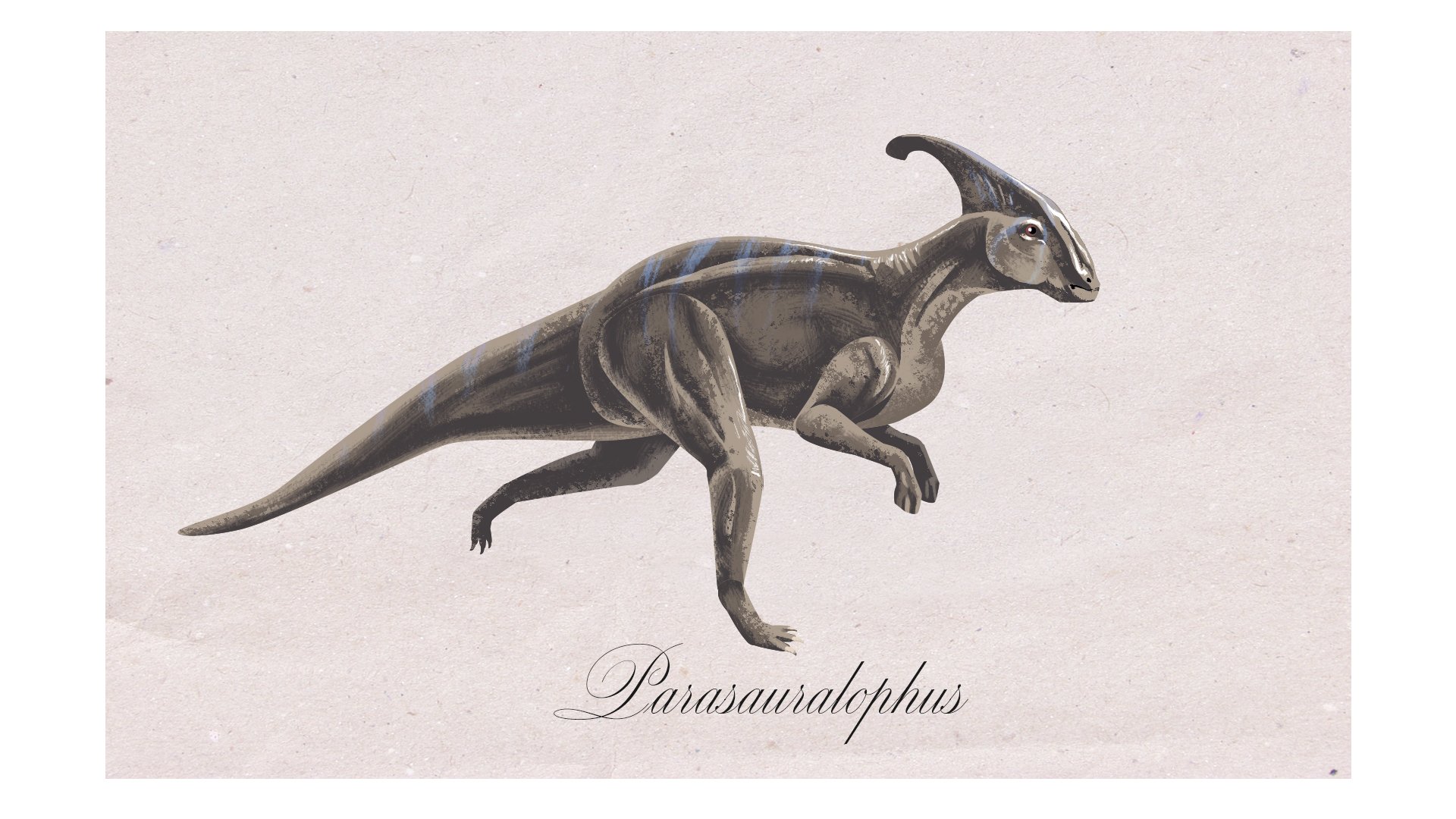 Parasauralophus_V01.jpg
