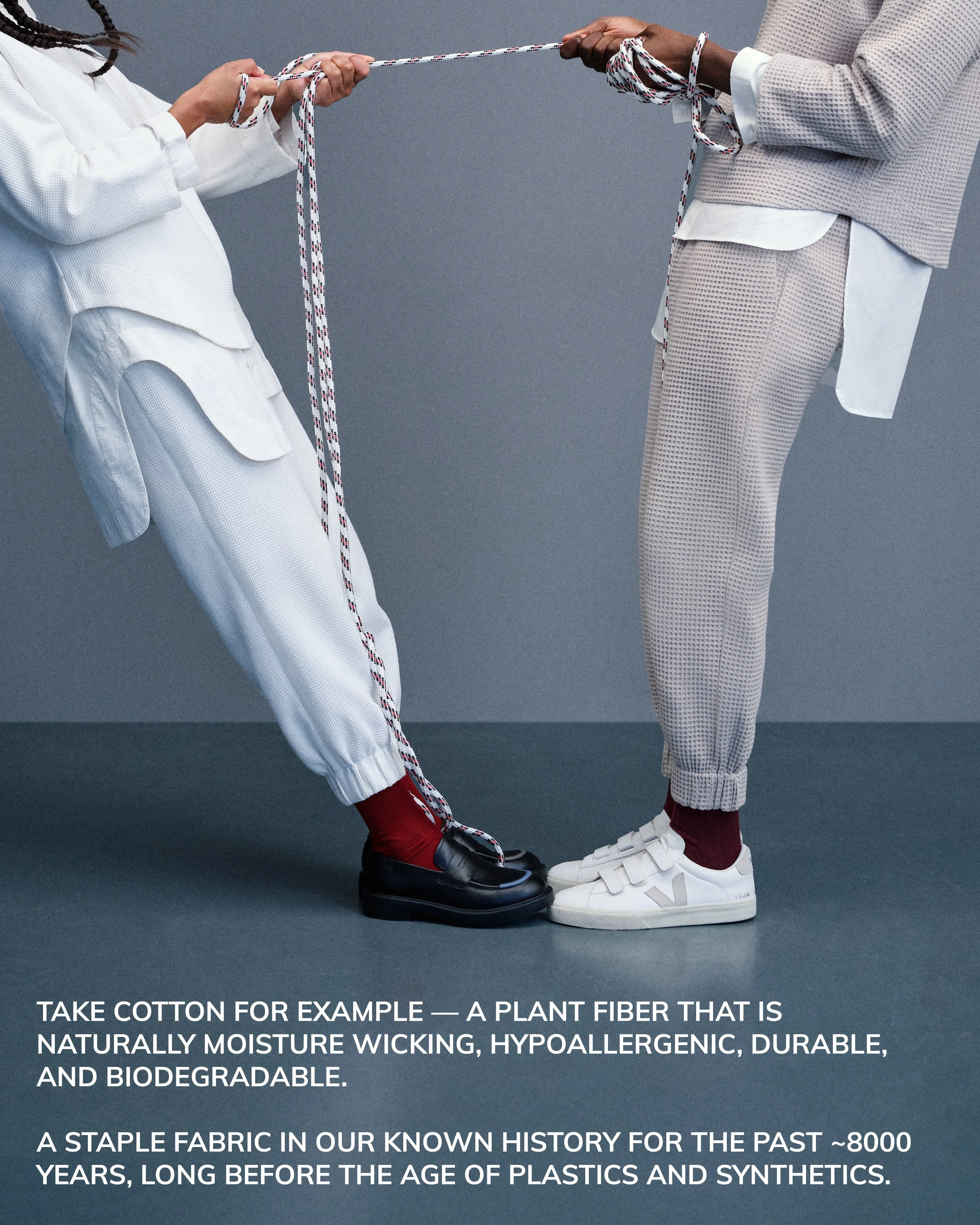 cotton carousel3.jpg