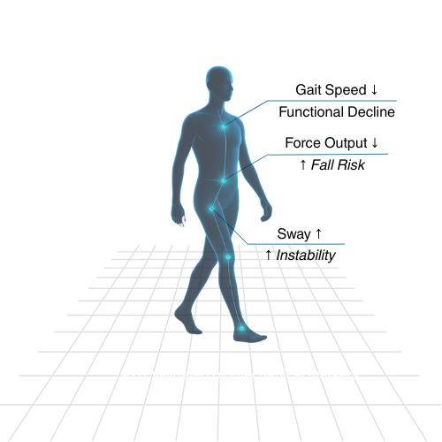 Humanoid silhouette representing biomechanical analysis