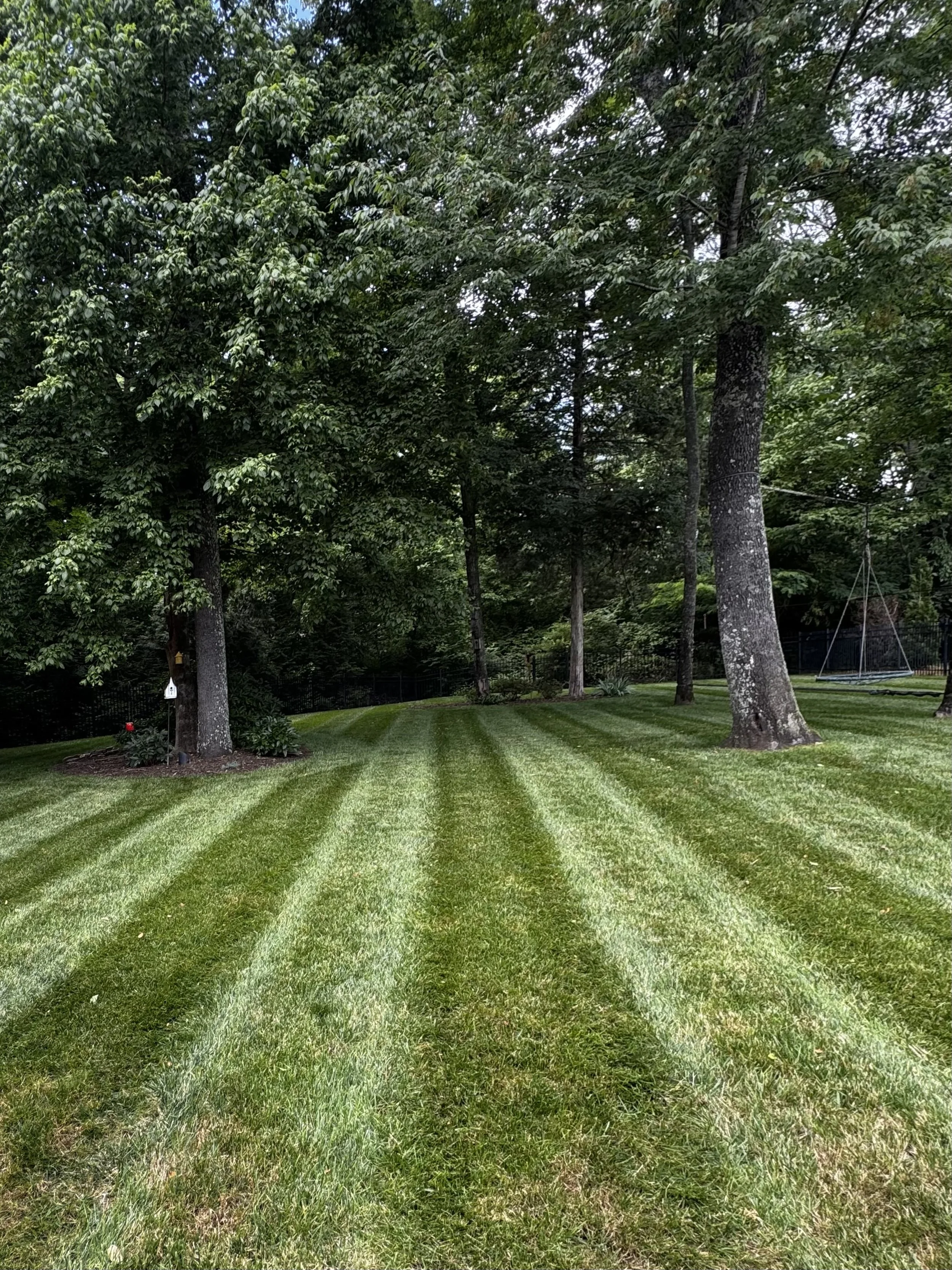A backyard with neatly mowed grass, tall trees with green leaves, and a swing set in the background.