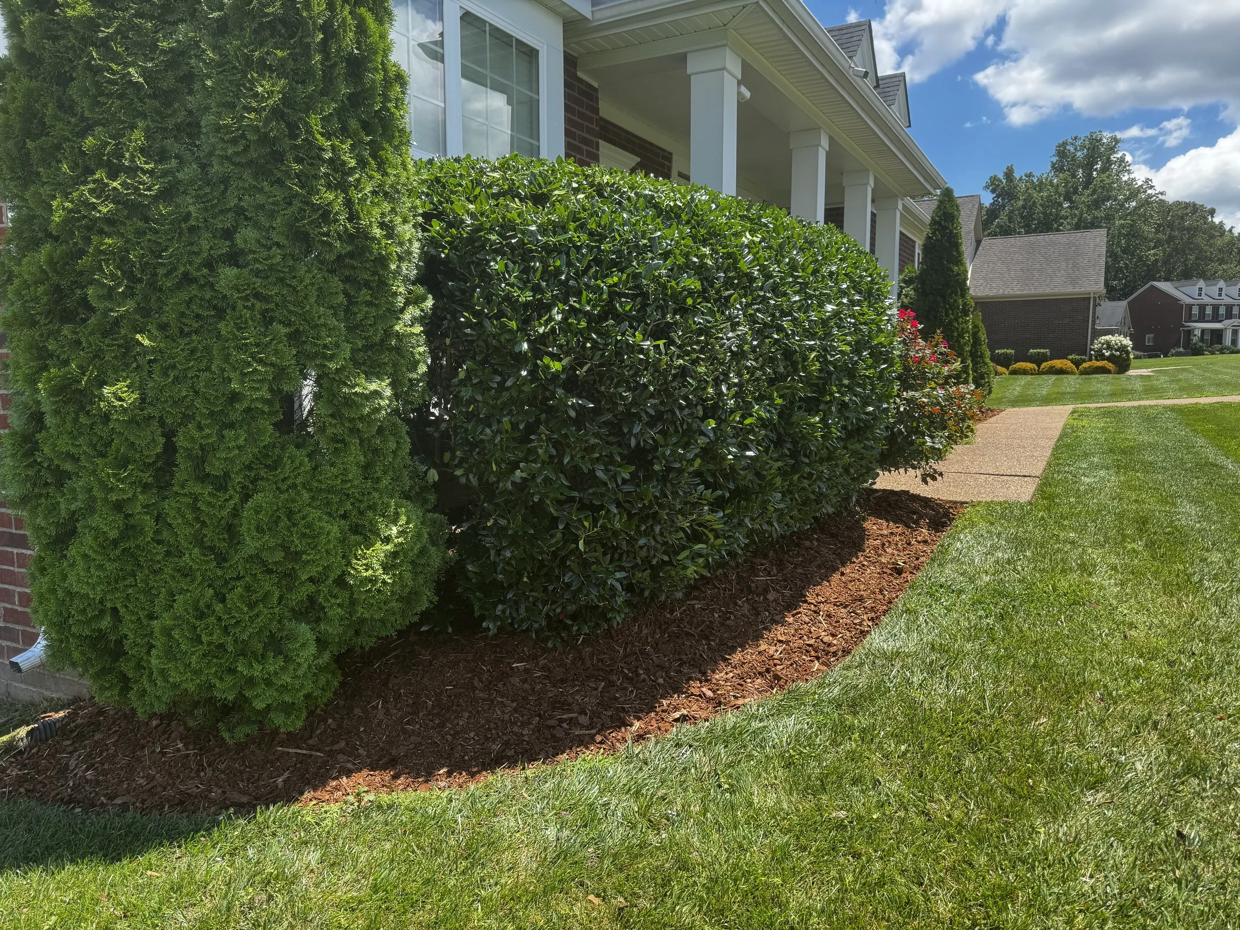 A suburban house with a white porch and large windows, surrounded by a well-maintained lawn and bushes along the walkway. Blue sky with some clouds in the background.