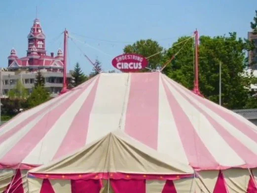 Bellingham Circus Adventures