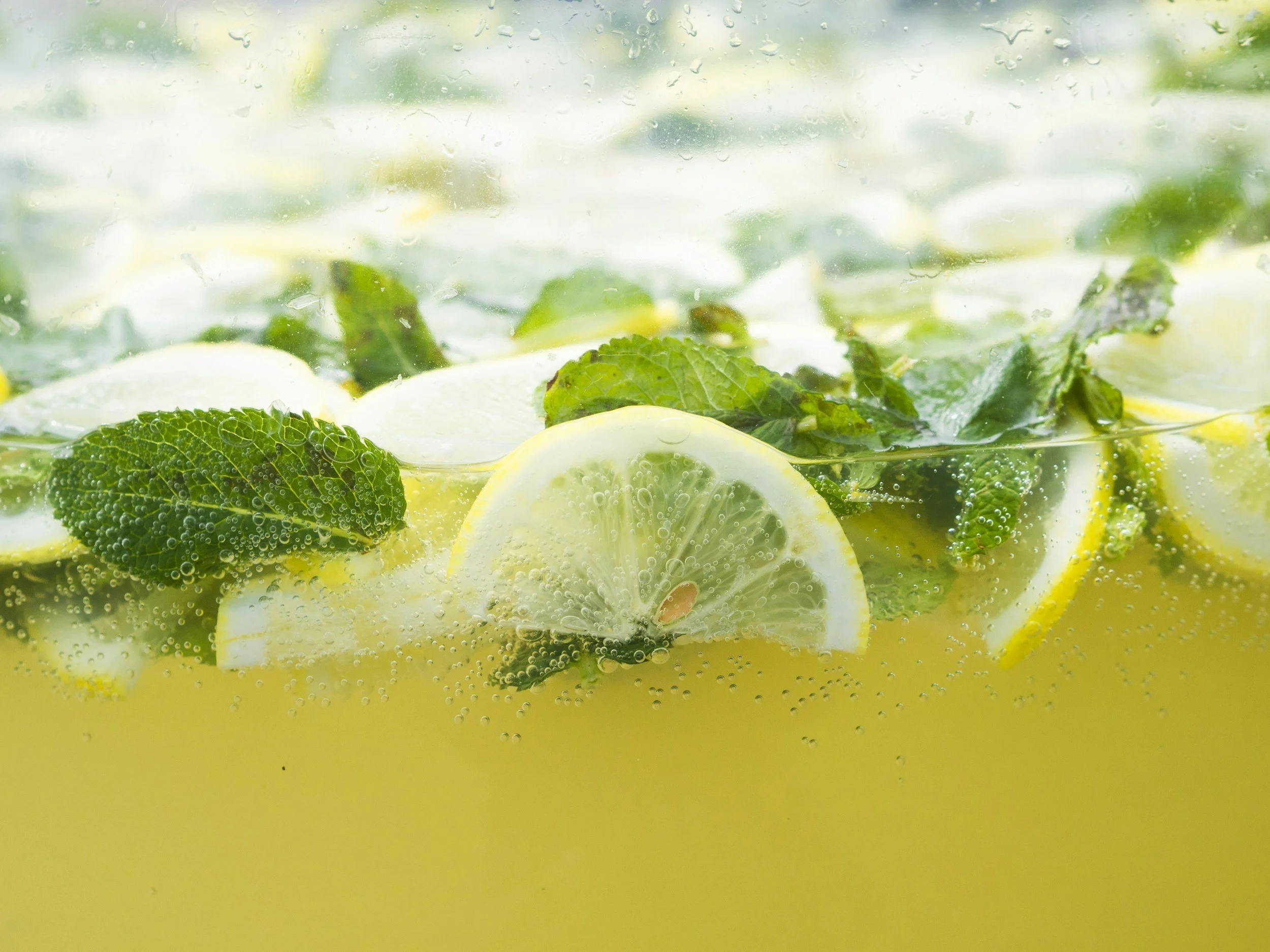 Best Lemonade in Bellingham