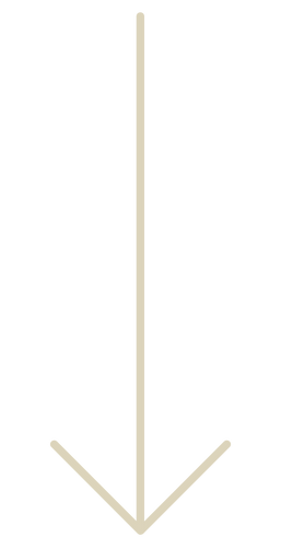 A black arrow pointing downward with a beige stick in the background.