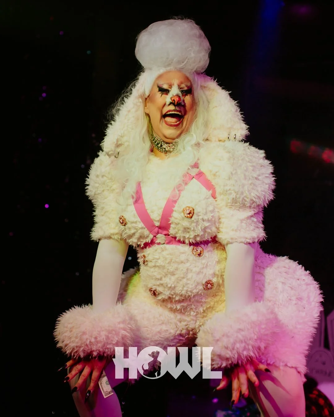 One week till HOWL returns! 

Photos from HOWL-OWEEN by @andrewjames_photo