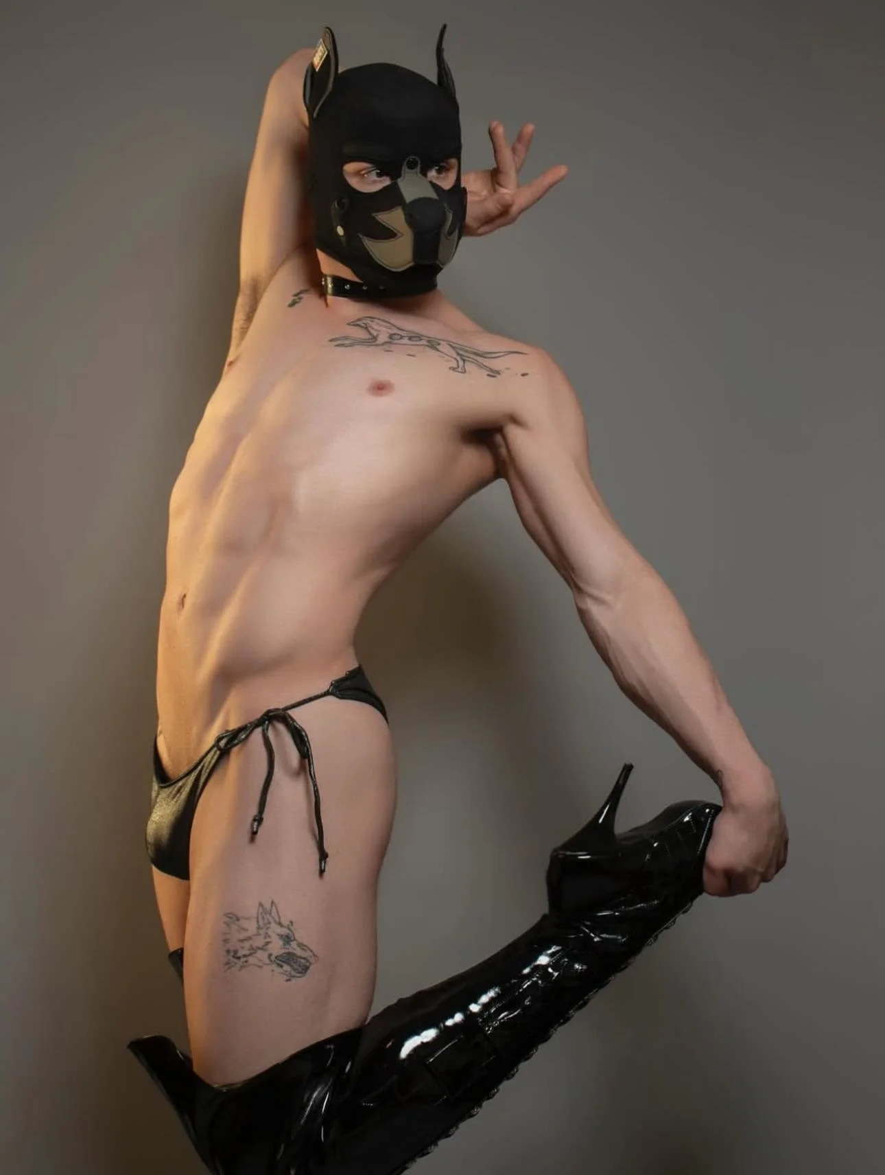 It&rsquo;s almost here! HOWL Showdog Cabaret is this Sunday! At @precinctdtla 

We&rsquo;ve added more table seating but it&rsquo;s almost sold out again, reserve your seats and help support @lalgbtcenter at the link in bio 🔗

Featuring the talents 