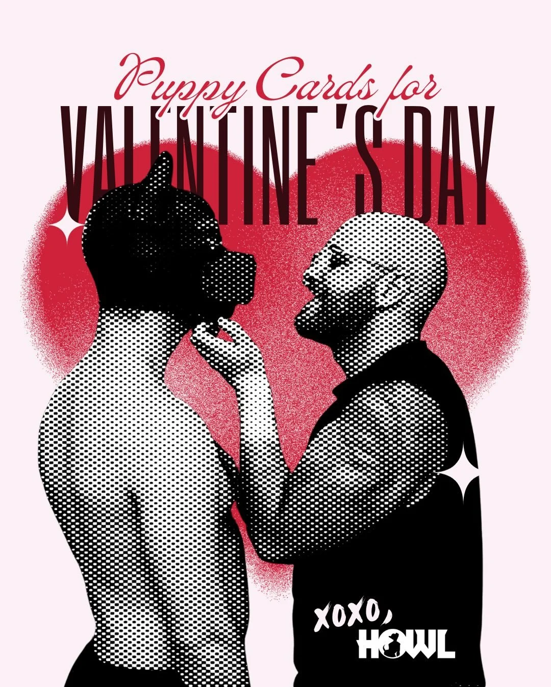 Send these valentines cards to the pup in your life 💕

#valentine #puppy #lovewins