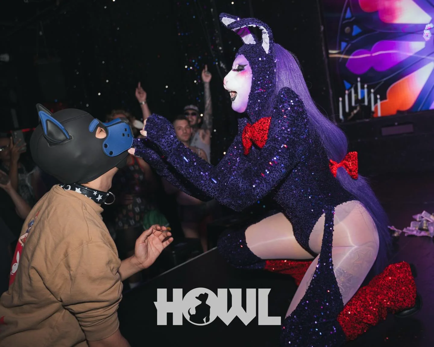 Ready for more HOWL? 

Photos by @chrvstineanne 

More updates and photos coming soon. We&rsquo;ve got big plans in the dog house.