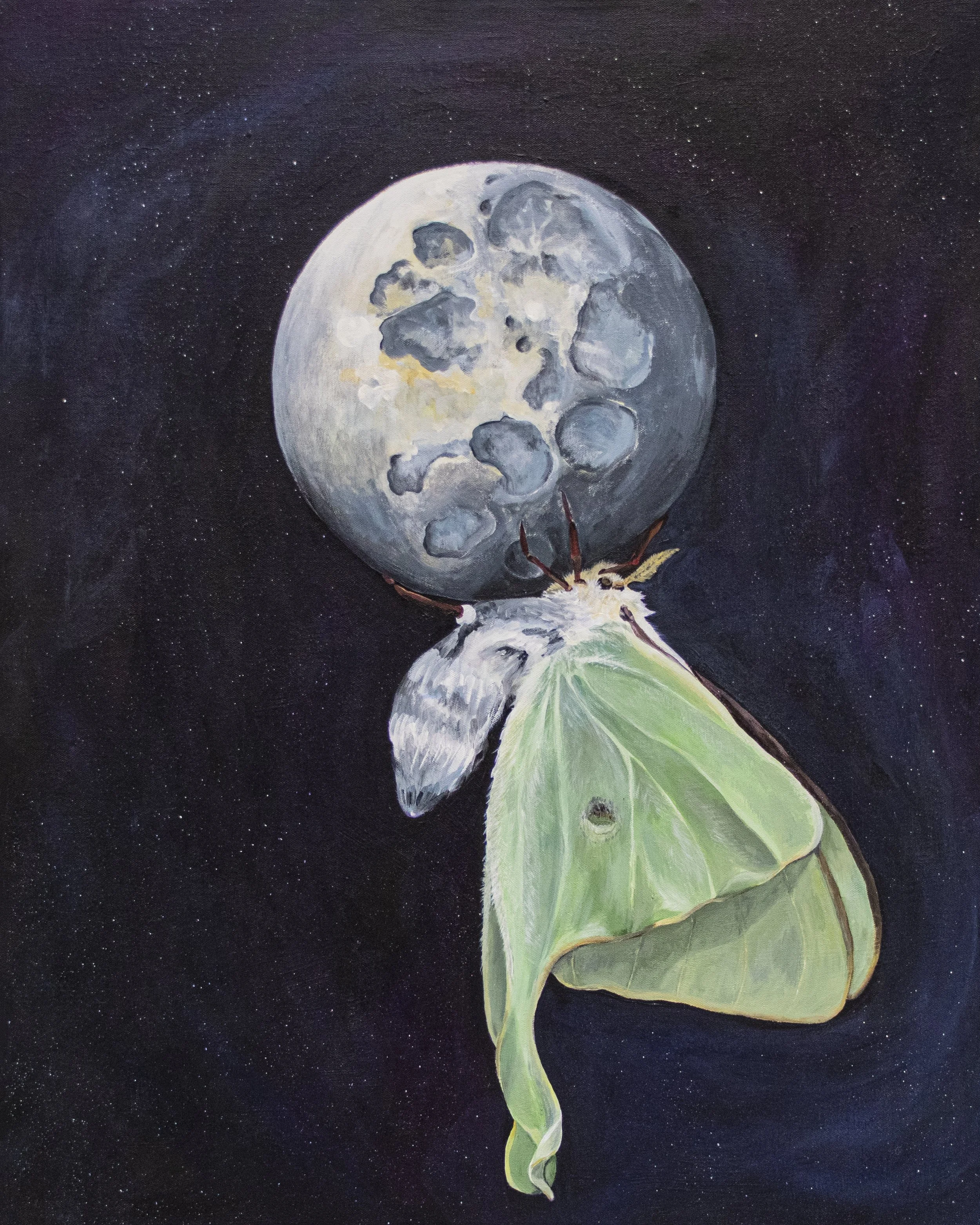 Luna Moth and Moon