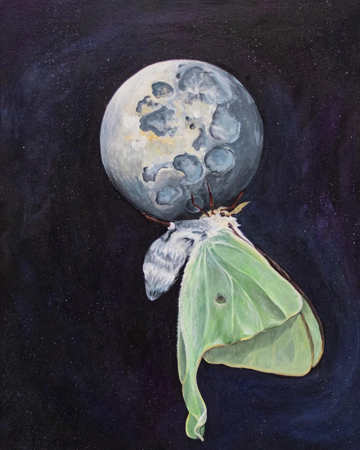 Luna Moth and Moon — Print