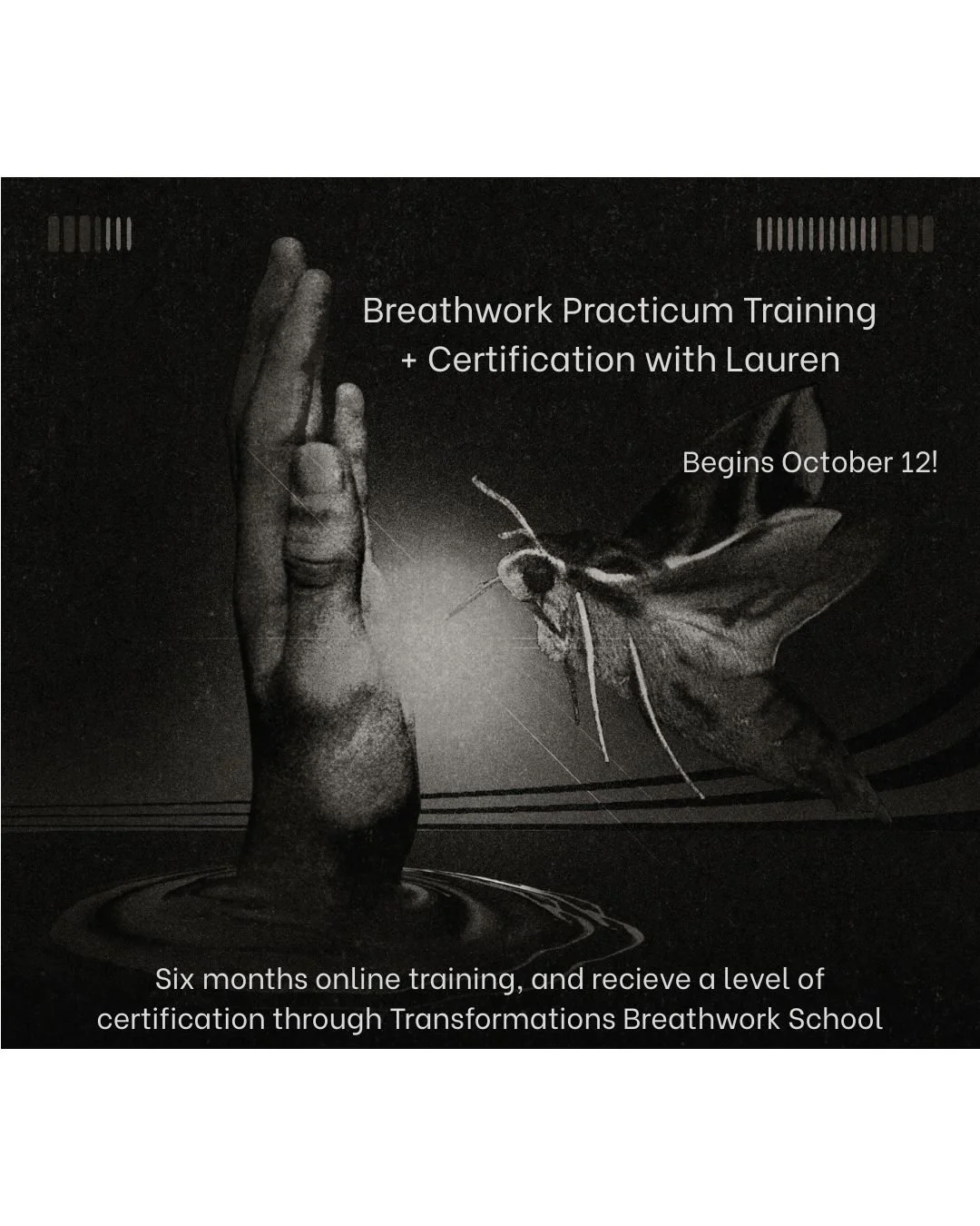 Therapeutic Breathwork Practicum Training + Certification