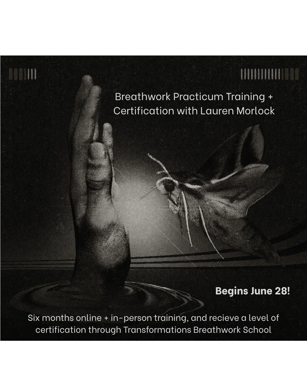 Therapeutic Breathwork Practicum Training + Certification