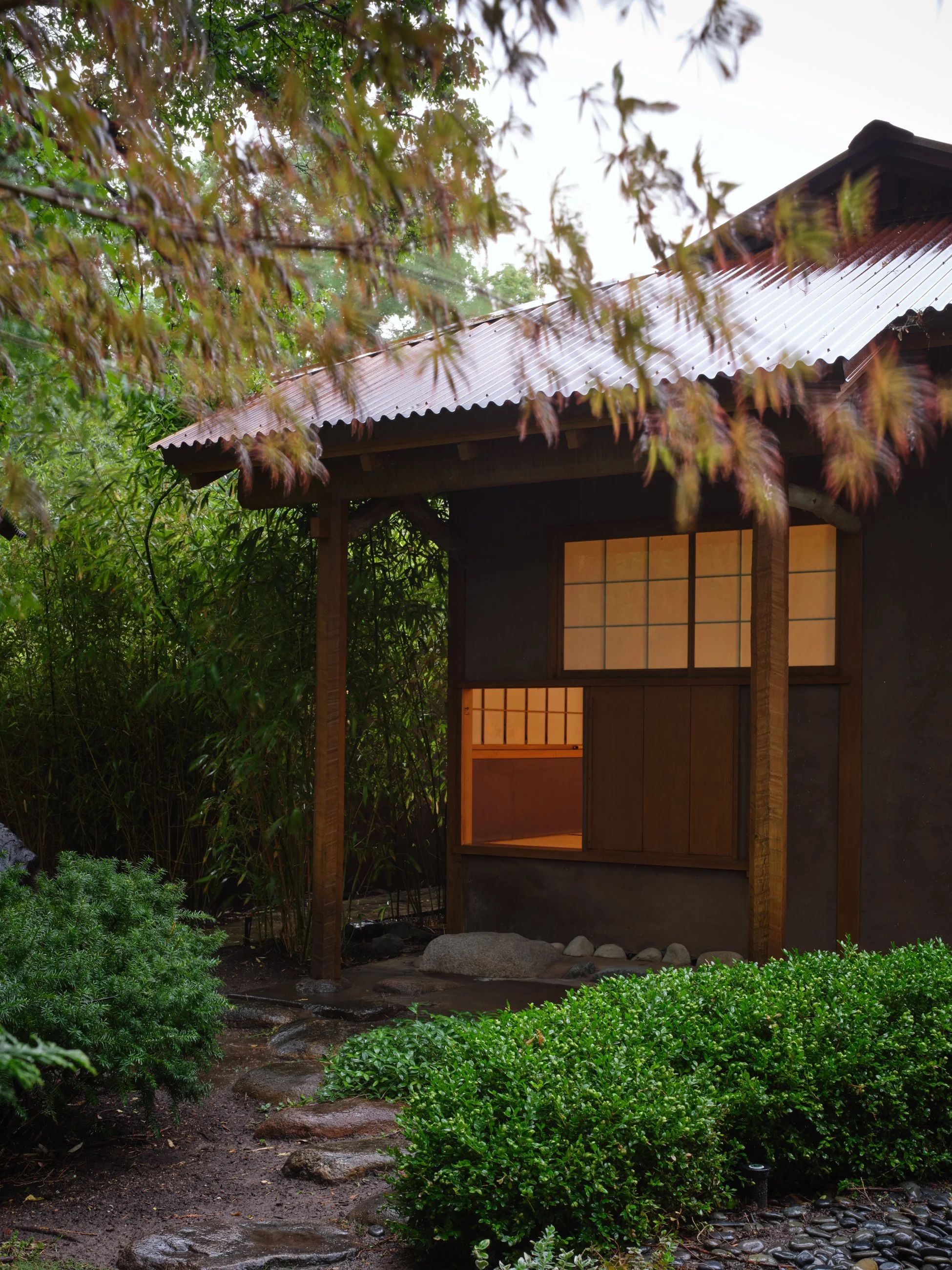 2024_08_08_Tea_Rain_006_flat_1.jpg