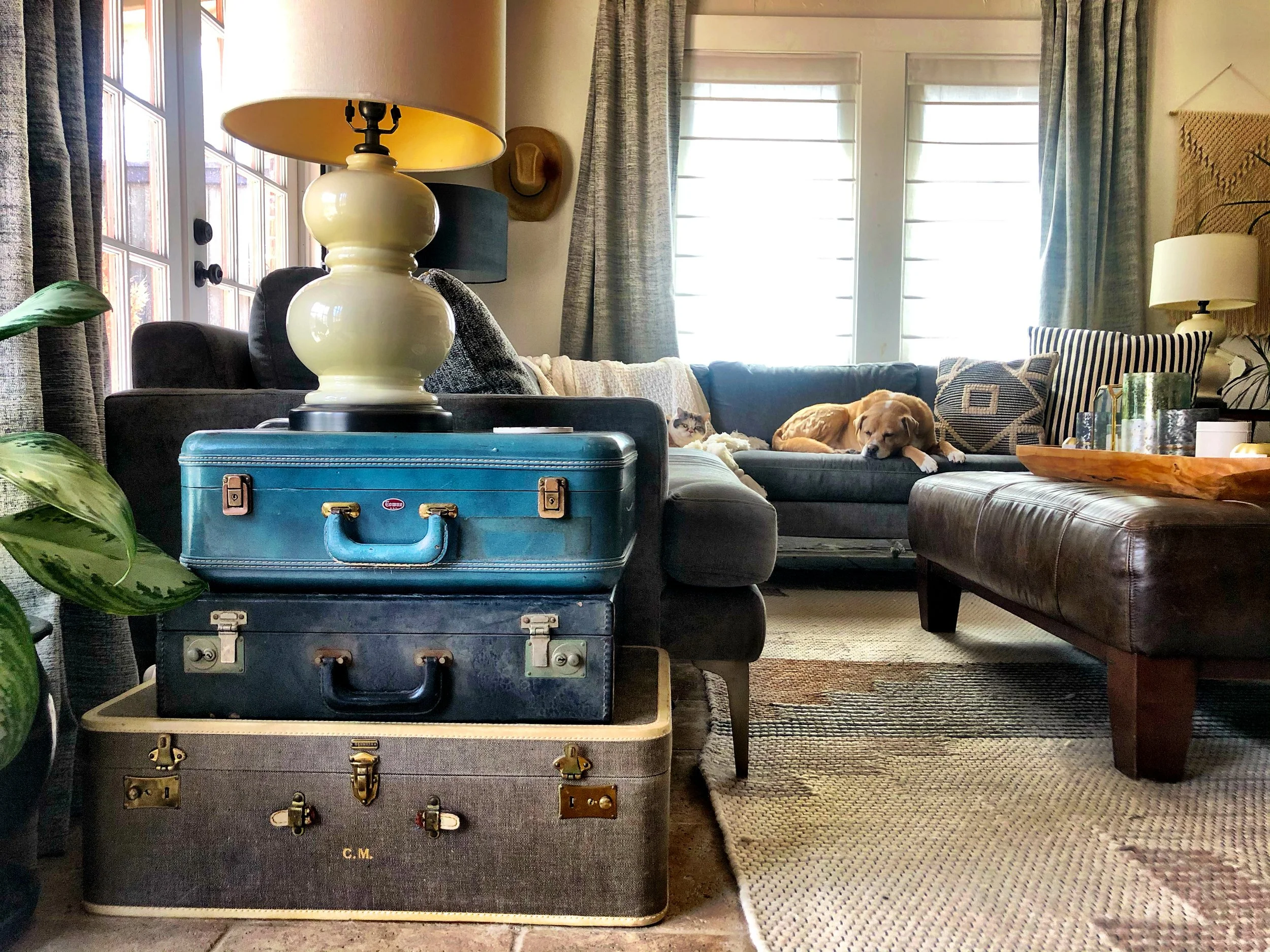Living room with stacked vintage suitcases, a table lamp, a plant, and a brown leather ottoman. In the background, a dog and a cat sleep on a sofa near a window with curtains.