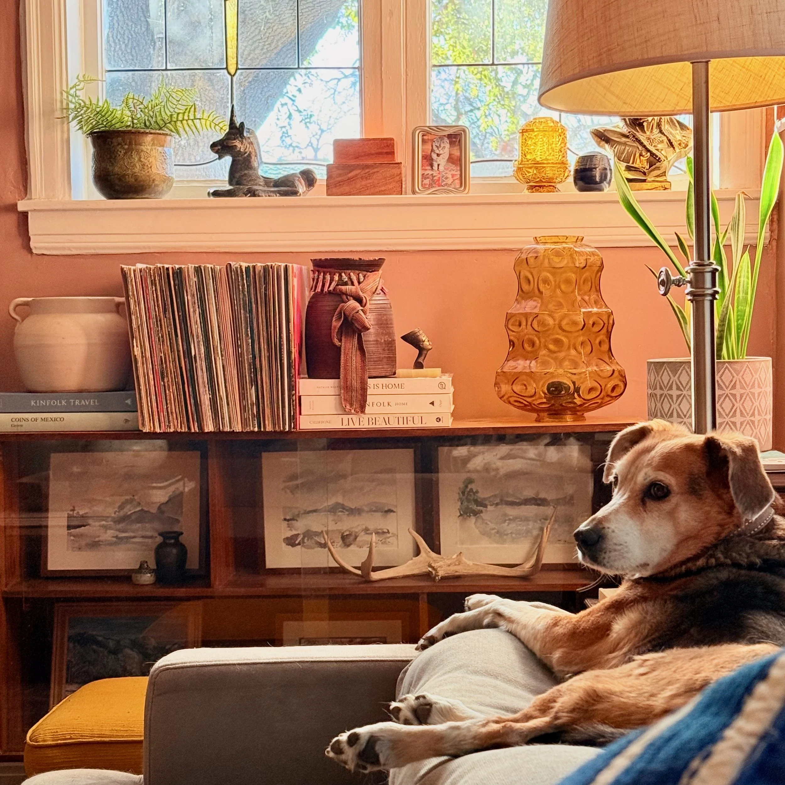 A cozy living room corner with a dog lying on a person's lap, a window with decorative objects and a cat figurine on the sill, a bookshelf with vinyl records and art, and a warm lamp casting light.
