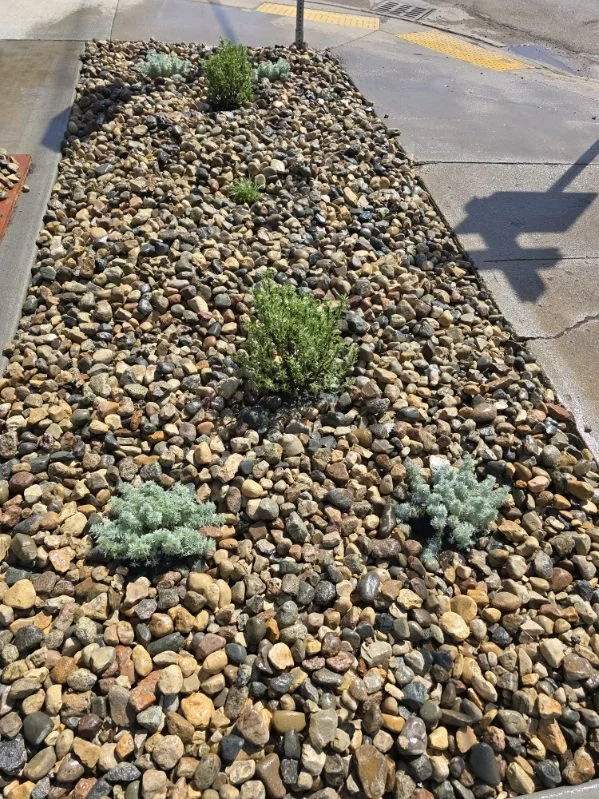 Green Space25.jpg
