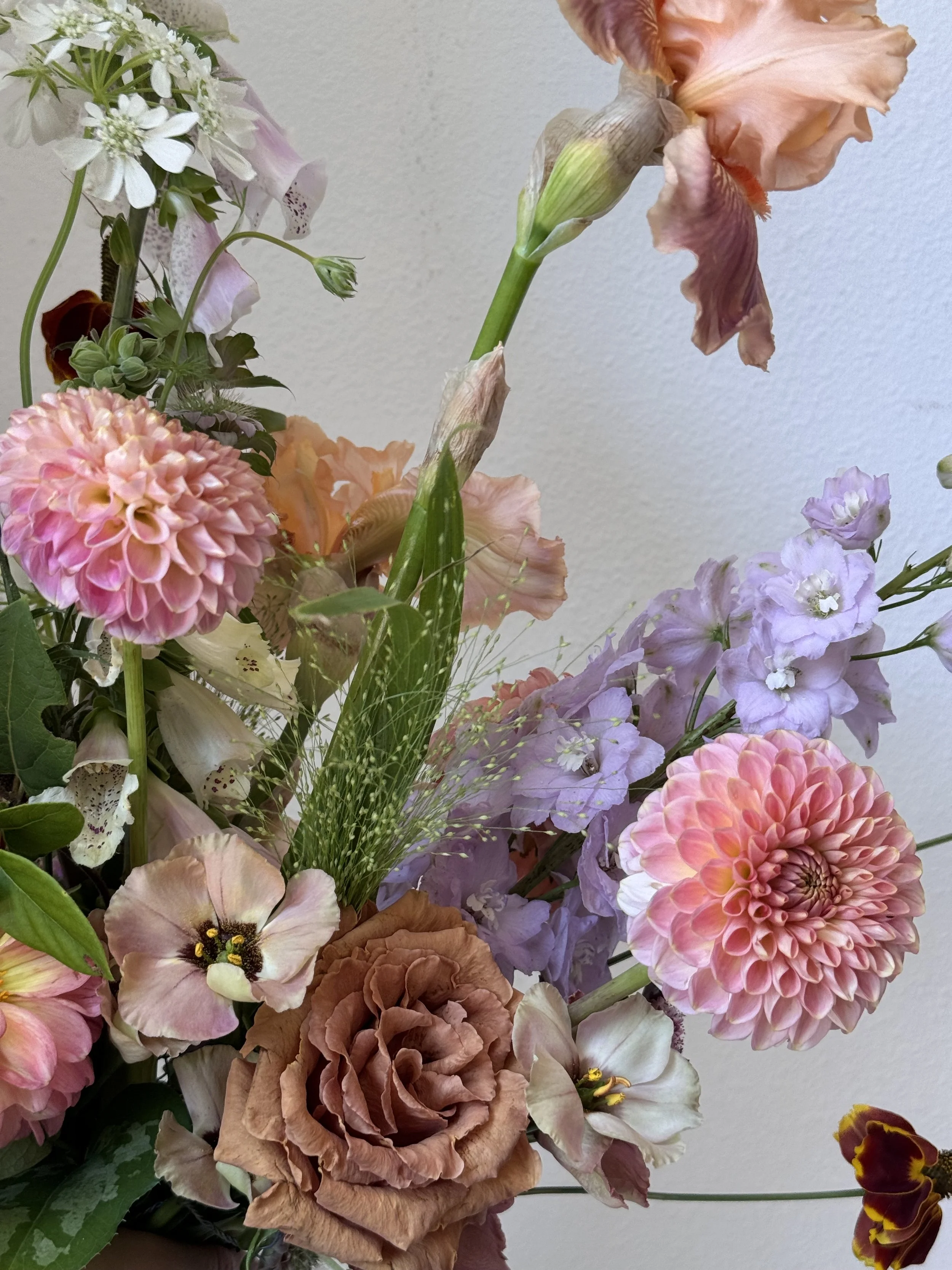 Valentine's Day - Signature Vase Arrangement