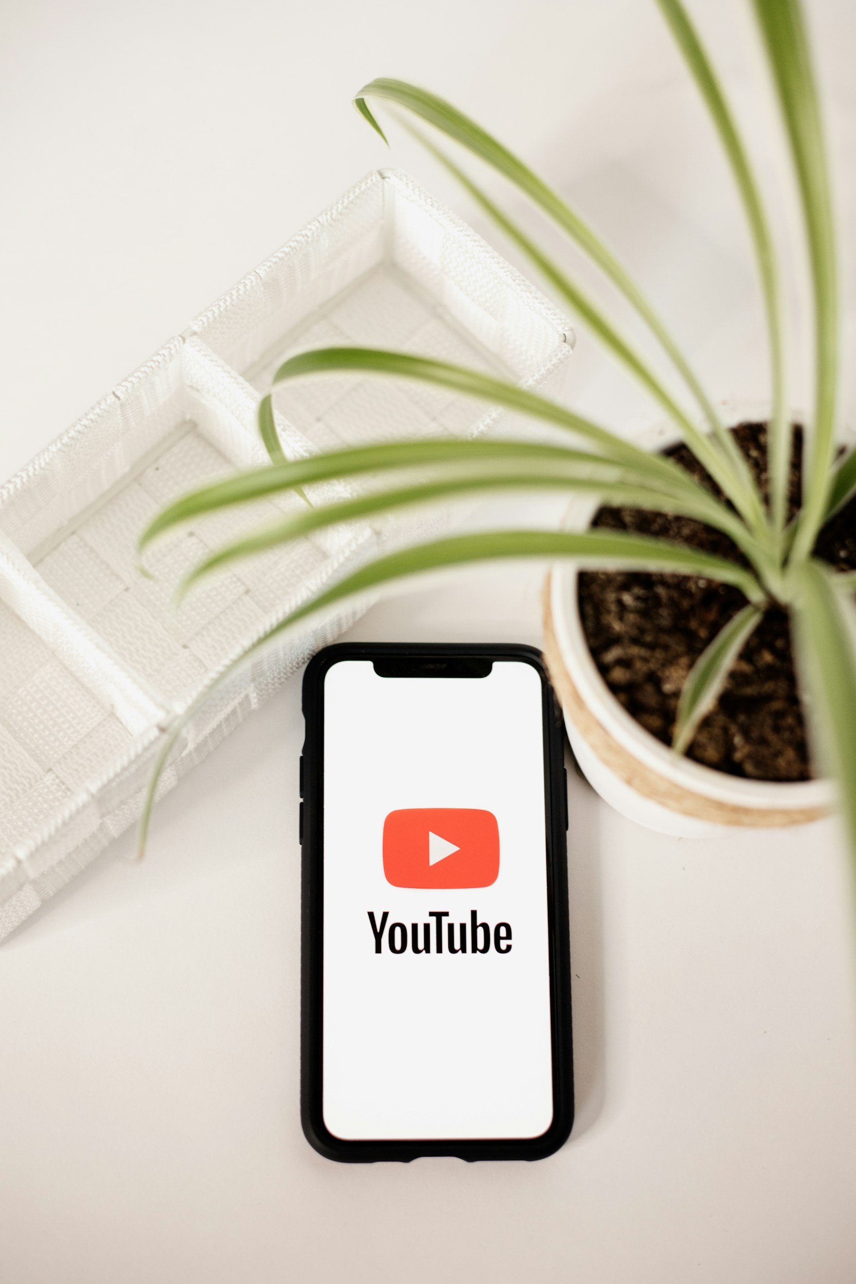 Uno smartphone con schermo acceso che mostra il logo di YouTube, un fiore piantato in una tazza di ceramica, e una pianta verde. Sullo sfondo, un contenitore bianco con una pianta e una struttura di plastica bianca.