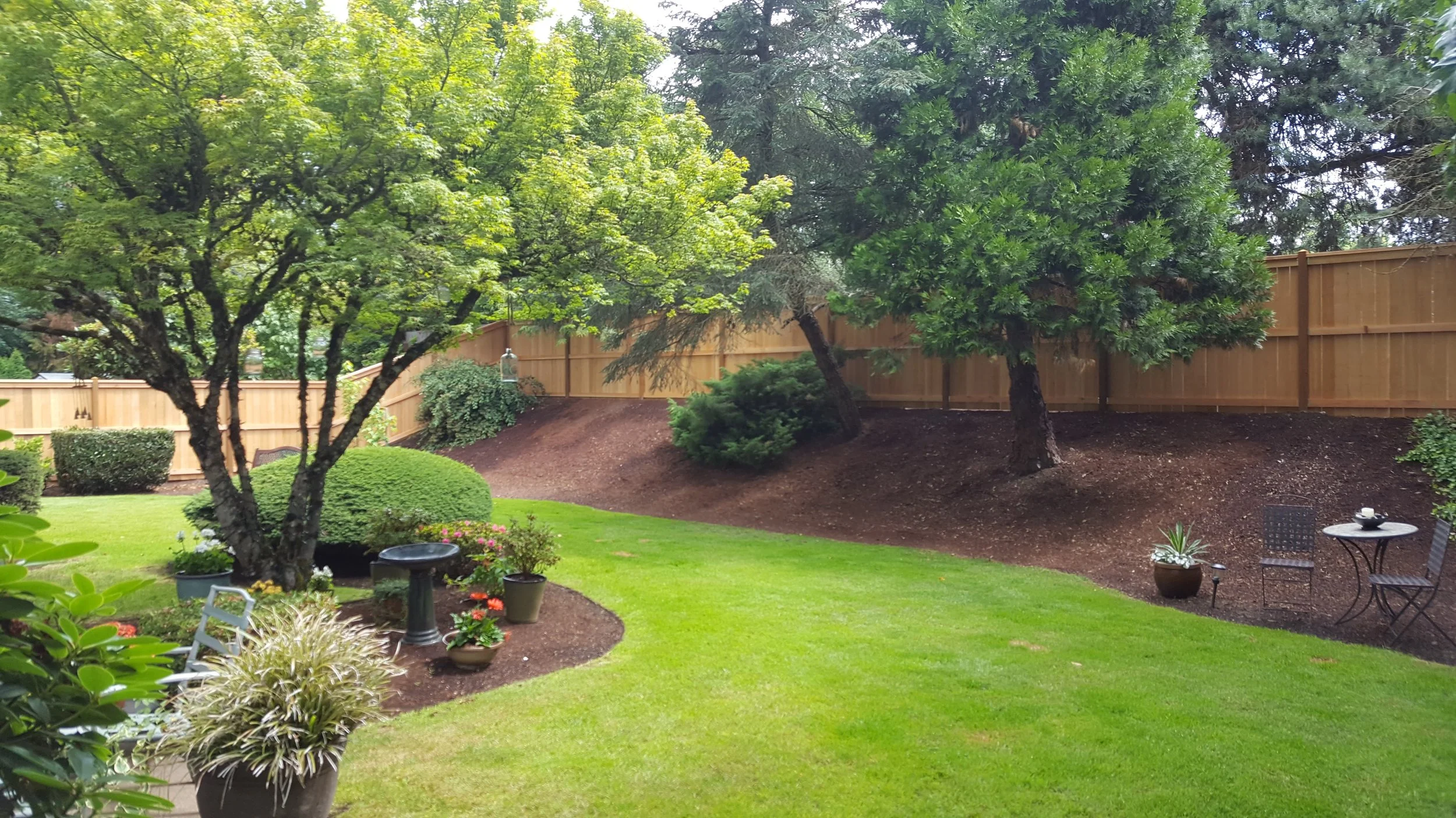 Spring Lawn Care Made Simple