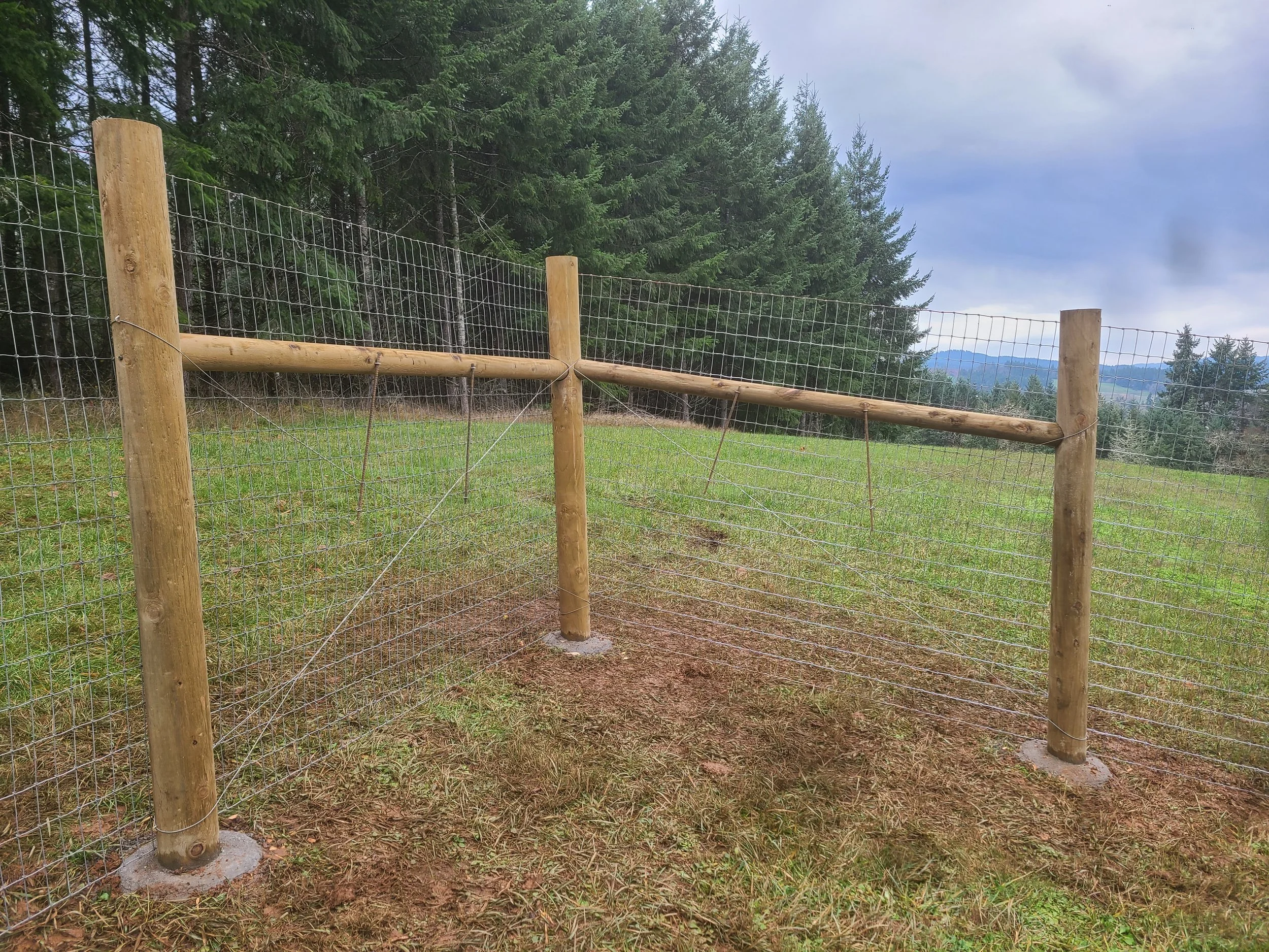 Wooden fence with wire mesh in a grassy field with trees and mountains in the background.