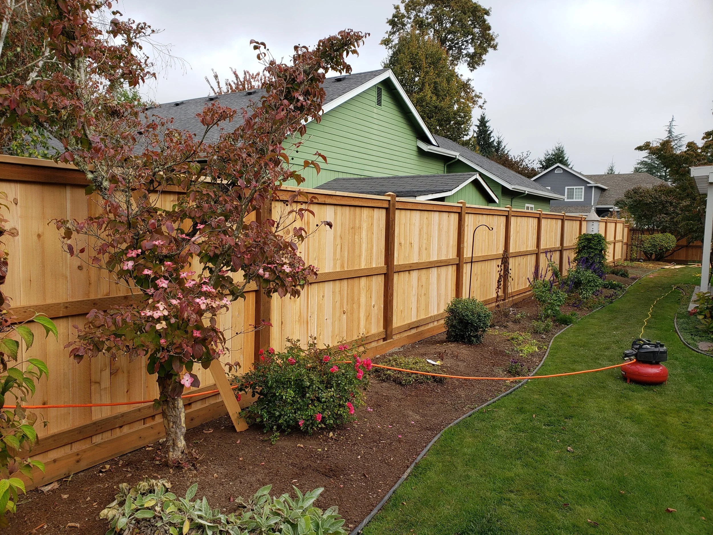 A backyard garden with a new wooden fence, a flowering tree, trimmed bushes, and planted flowers. A garden sprinkler is watering the plants on a cloudy day.