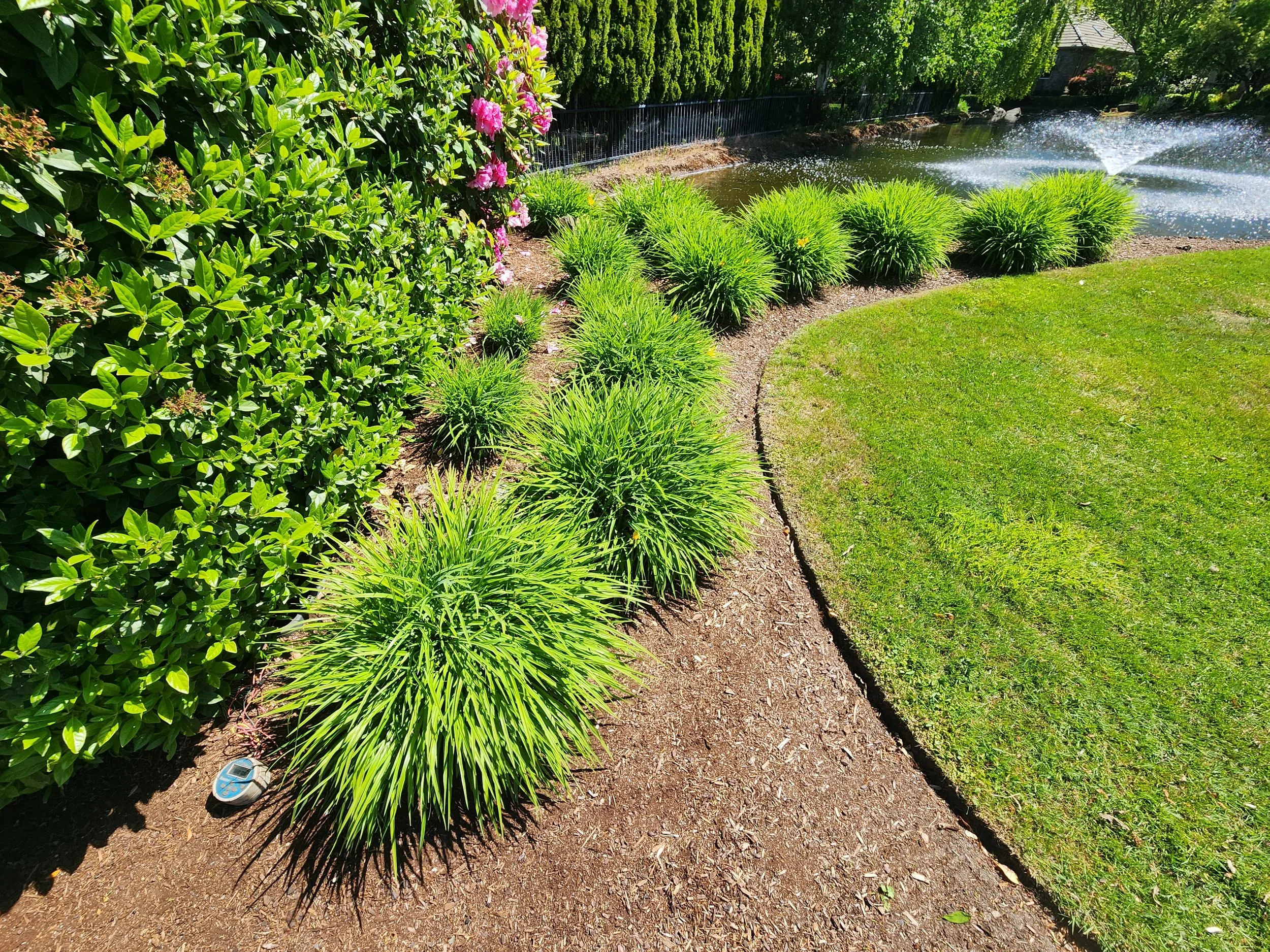 Landscaped garden with a pond, fountain, green shrubs, flowering bushes, manicured lawn, and a black metal fence in background.