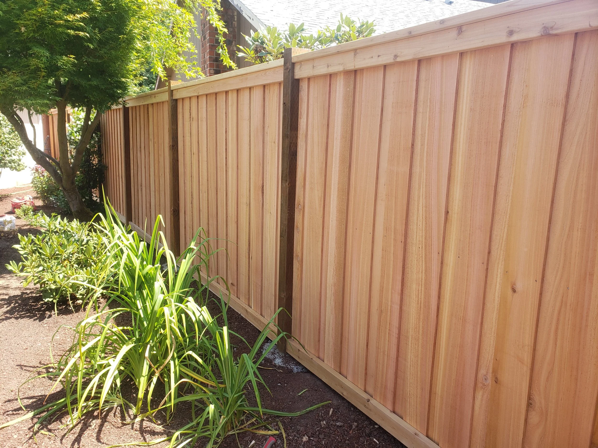 A newly installed wooden privacy fence next to a garden with green plants and a tree in a backyard.