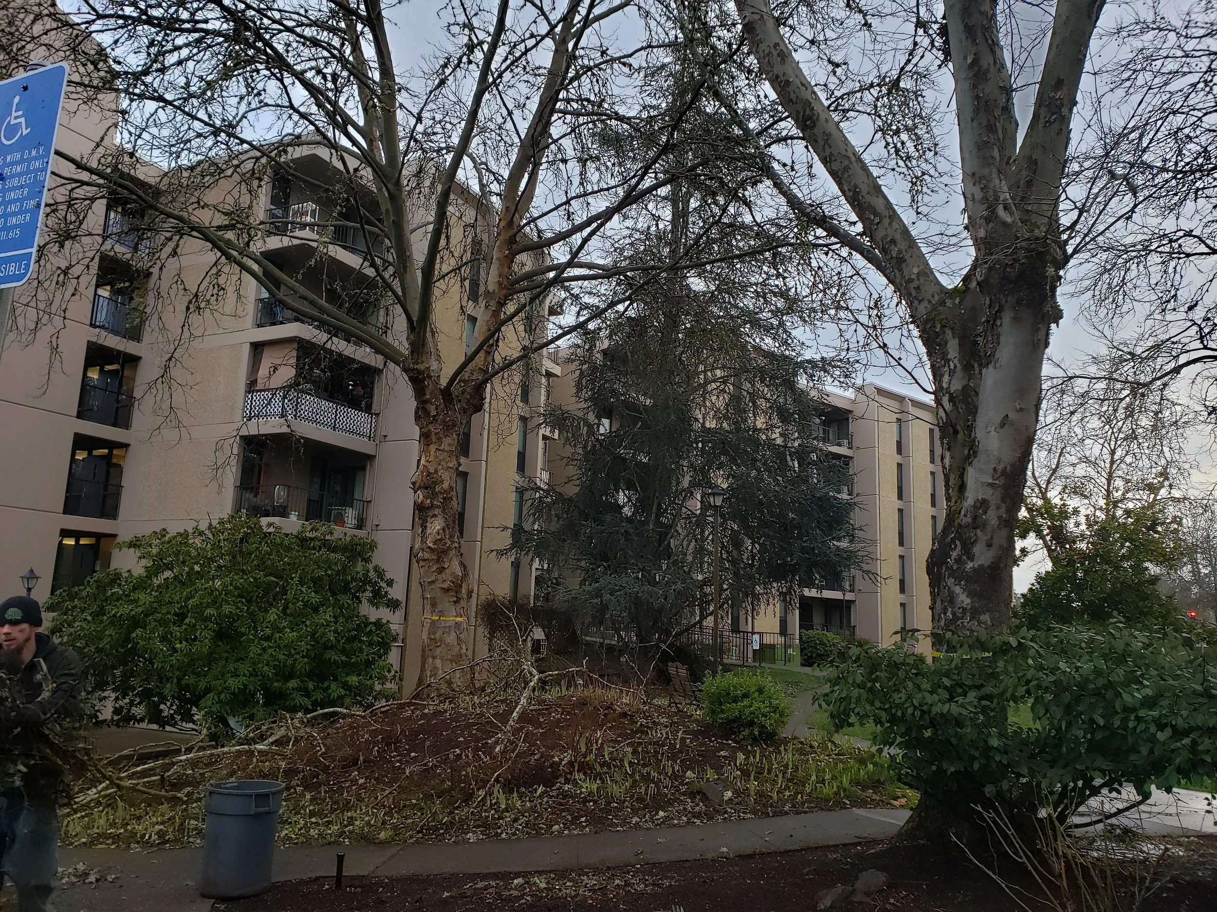 Tree branches and debris in front of large apartment building