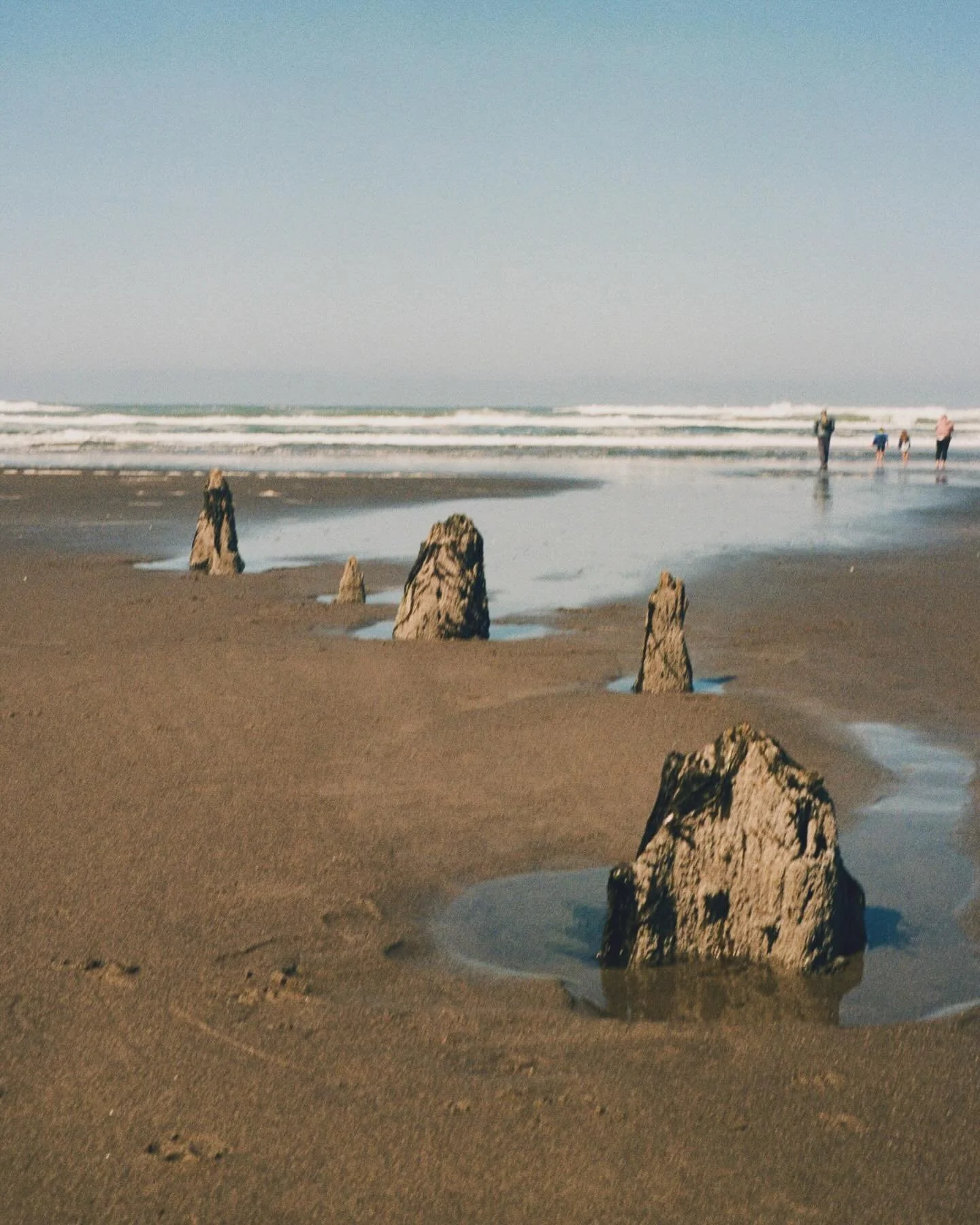 📍: Neskowin Ghost Forest 👻 
📸: Minolta 7sii 

#filmphotography #minolta #shootitwithfilm #minolta7sii