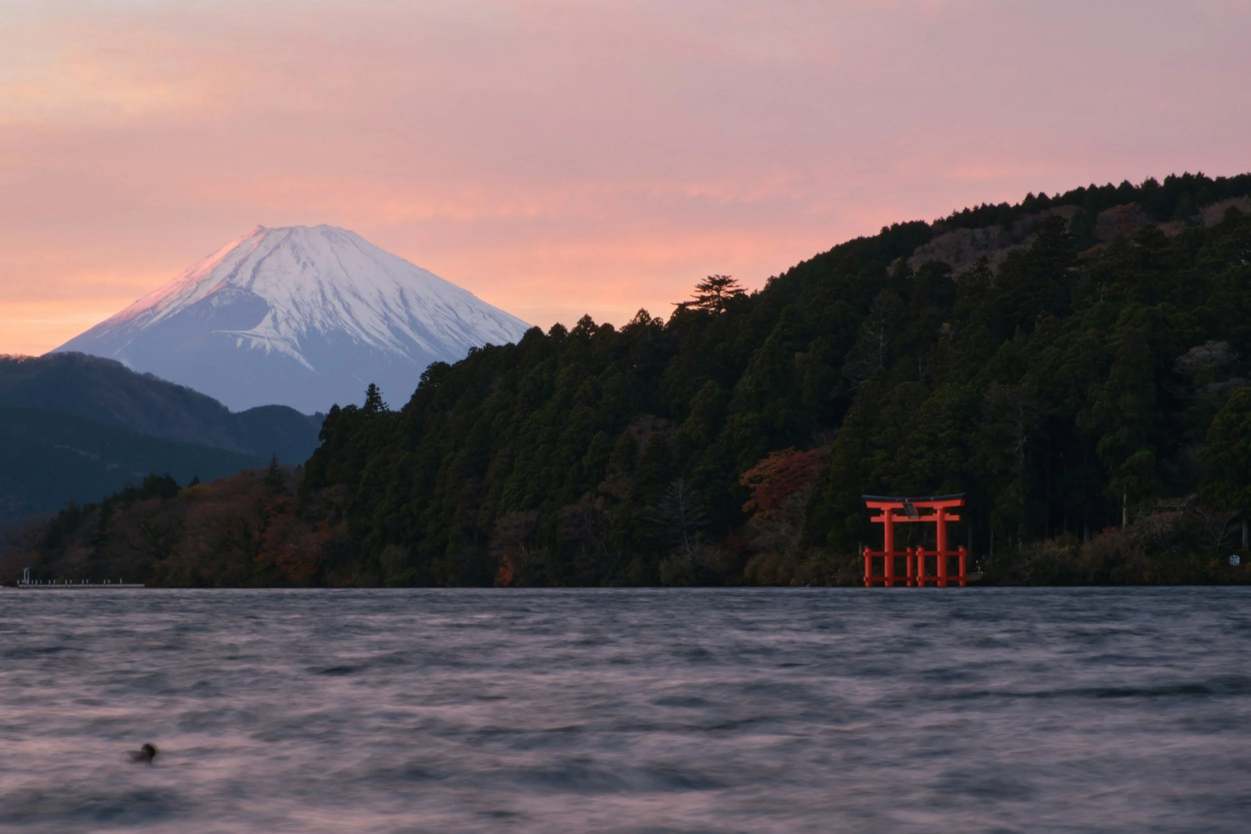 Lake Ashi Torii Gates