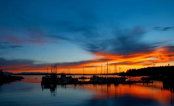 Sunset over a harbor with silhouetted boats and trees, reflecting on calm water.