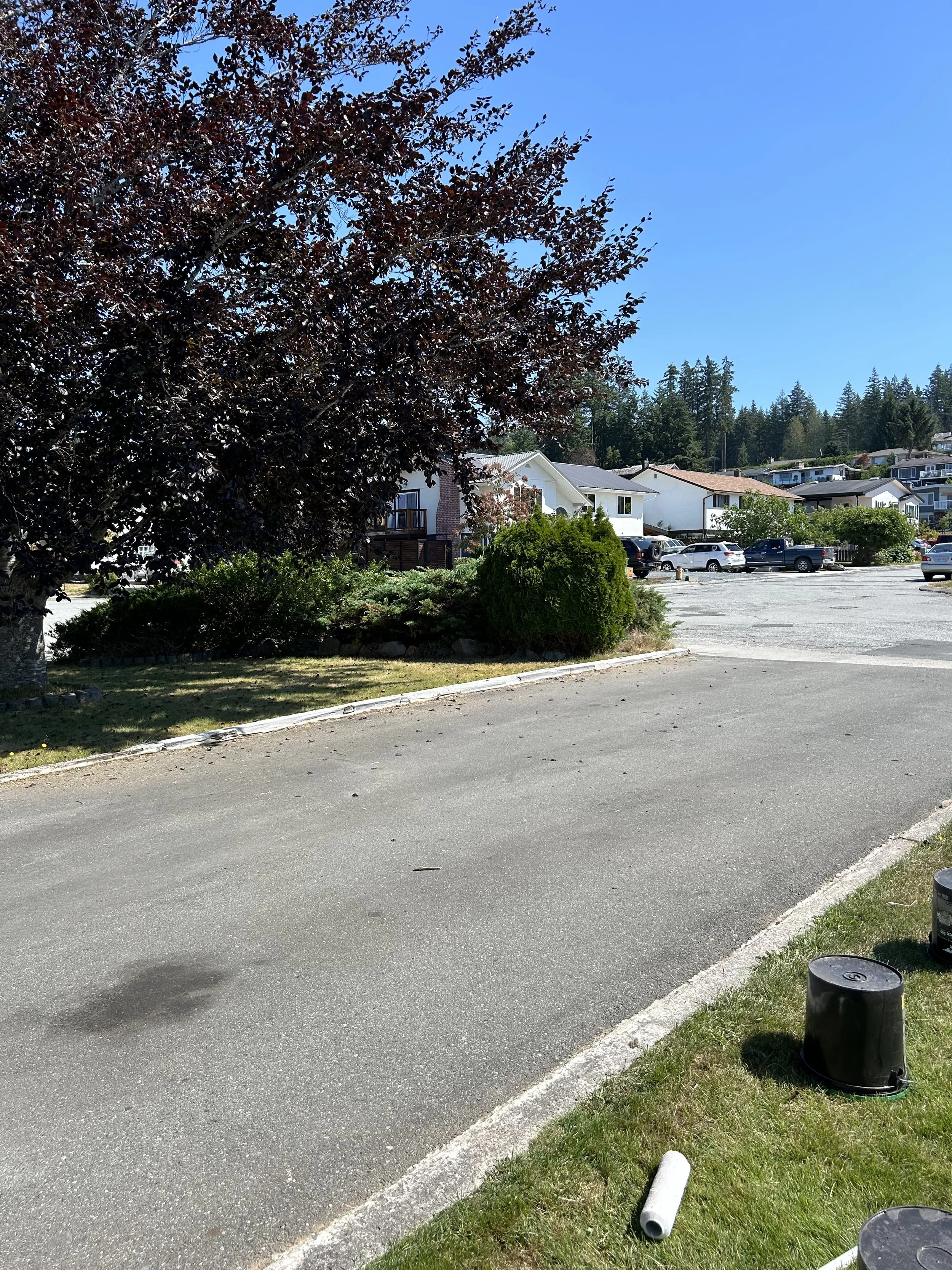 A parking lot with residential houses in the background, a large tree with dark red leaves on the left, a well-maintained green shrub, and some black trash bins on the grass. The sky is clear and blue.