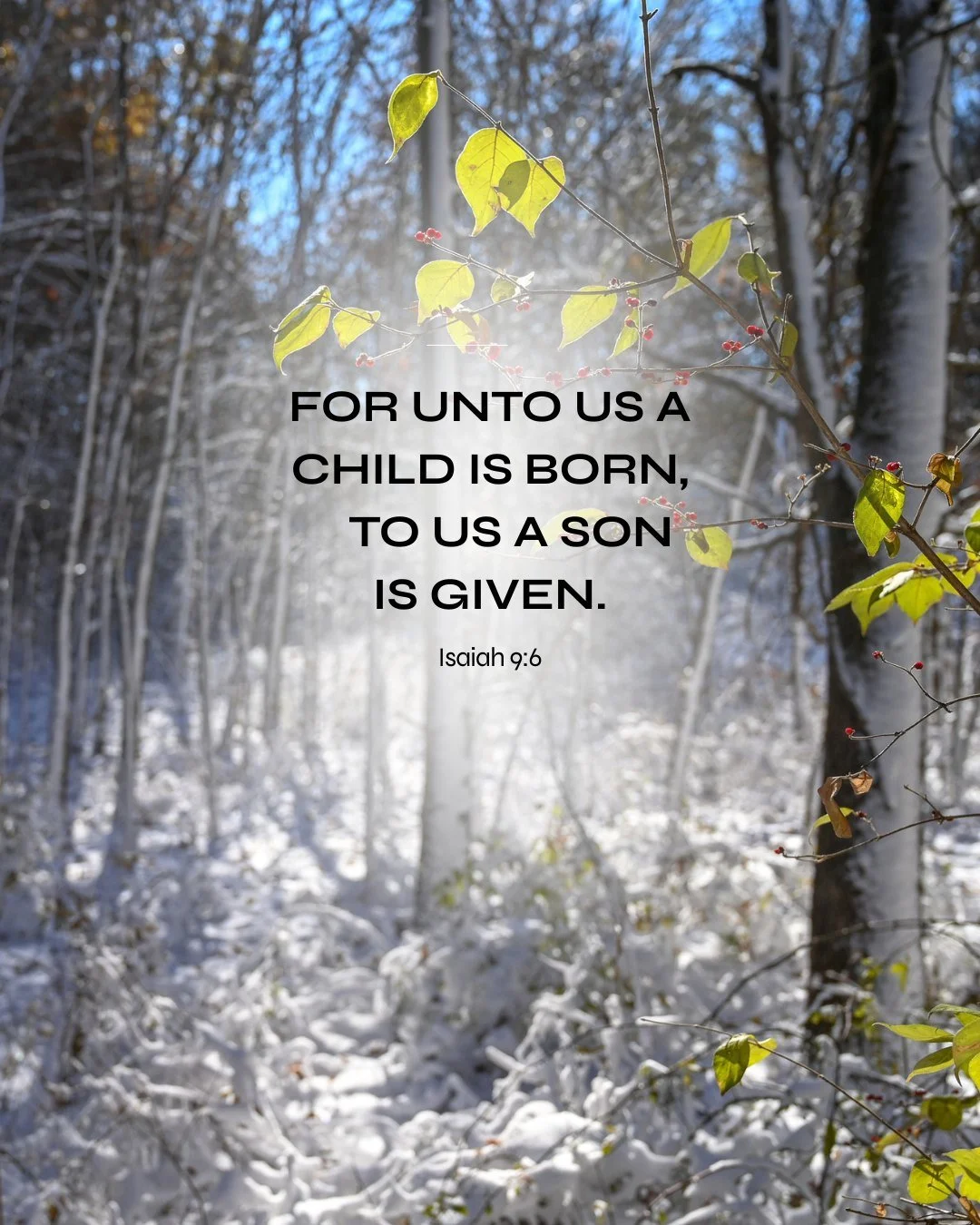 Today we celebrate God's greatest gift! Merry Christmas! 🎄

#MerryChristmas #ReasonForTheSeason #GodsGift #ChristmasDay #GreatOutdoors #OutlinkDigital