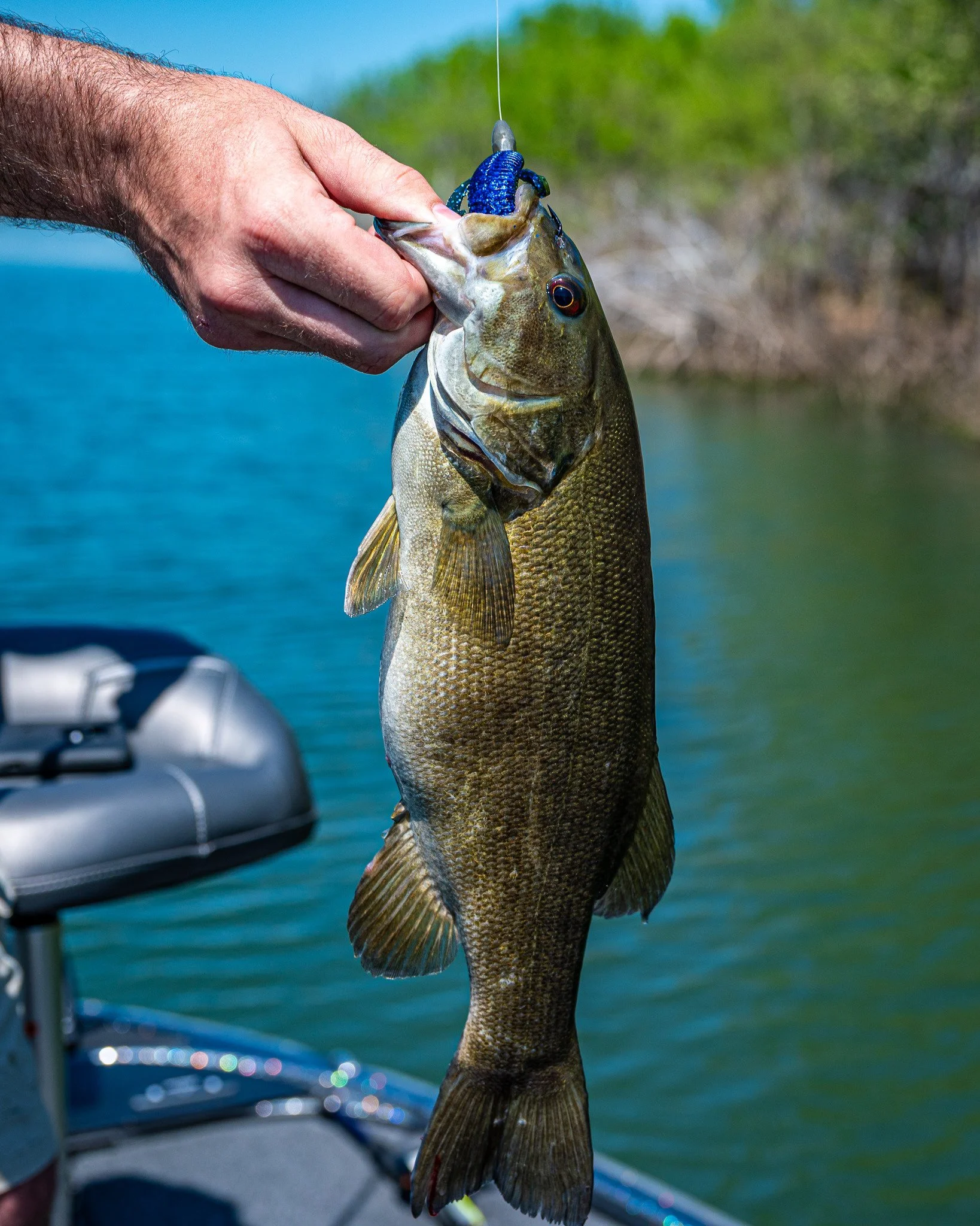 Always a flippin' good time 🤙

#BassFishing #Smallmouth #Flippin #GoneFishing #OutlinkDigital
