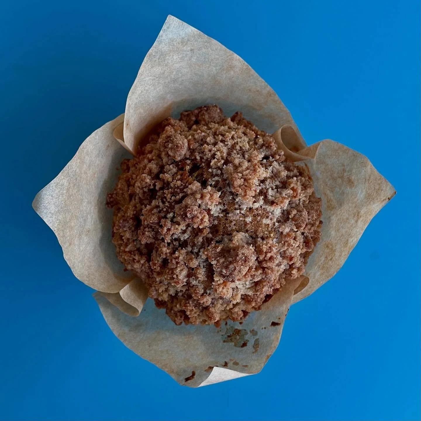 🎃 IT&rsquo;S PUMPKIN SEASON!

Our seasonal menu has shifted to fall this week. Pumpkin spice cream cheese, pumpkin muffin with cinnamon streusel, and pumpkin spice syrup! 🍂
