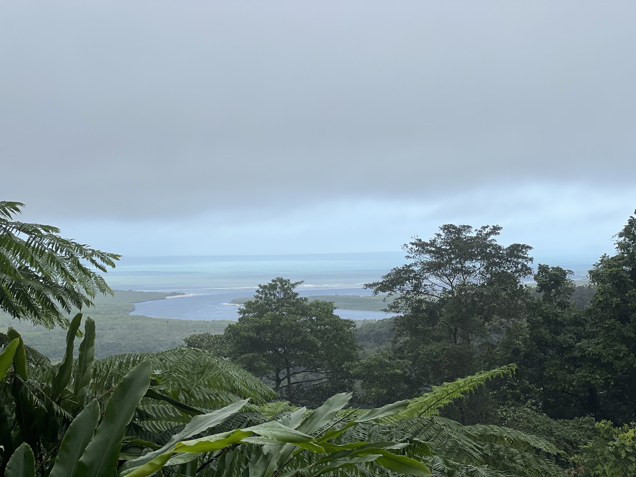Daintree Rainforest and Cape Tribulation - Queensland, Australia