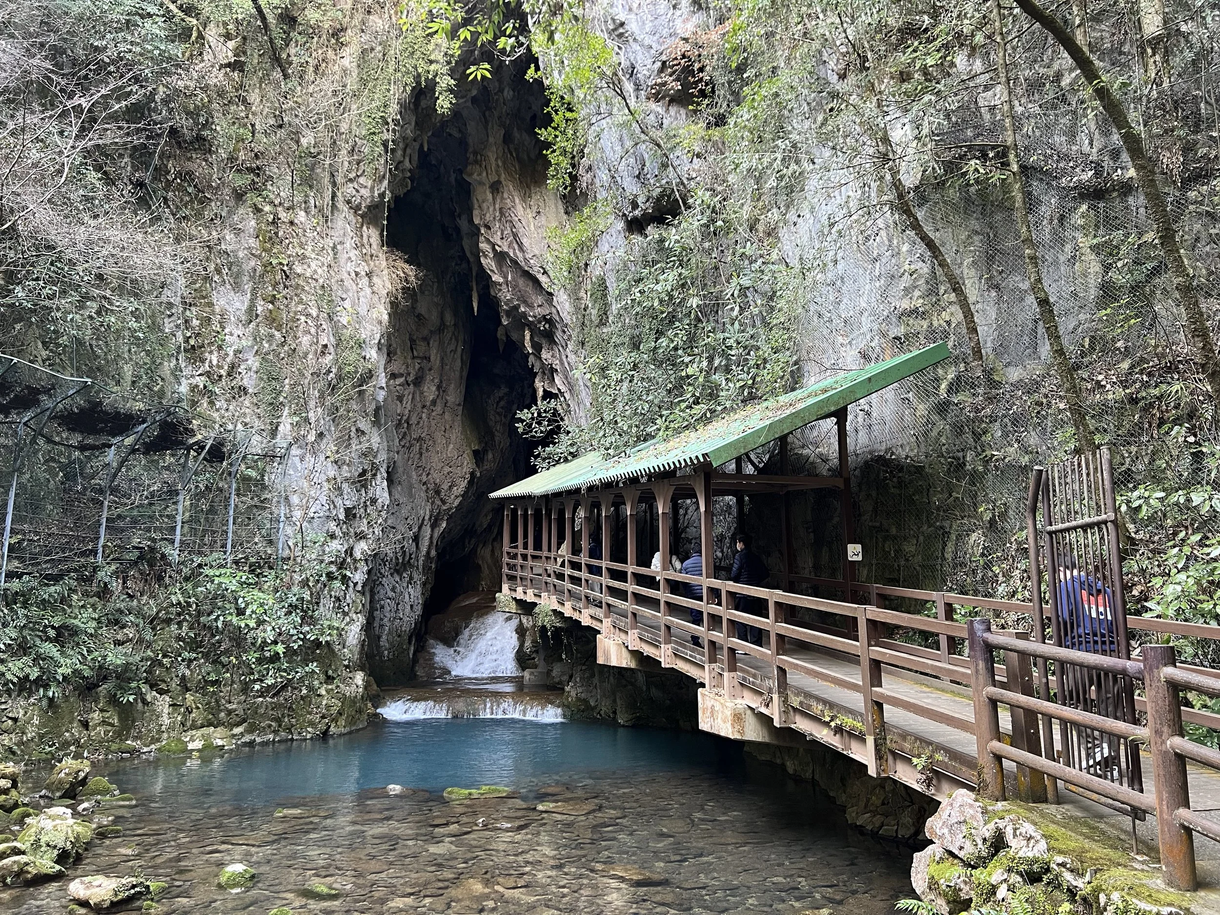 Akiyoshido Cave - Yamaguchi, Japan