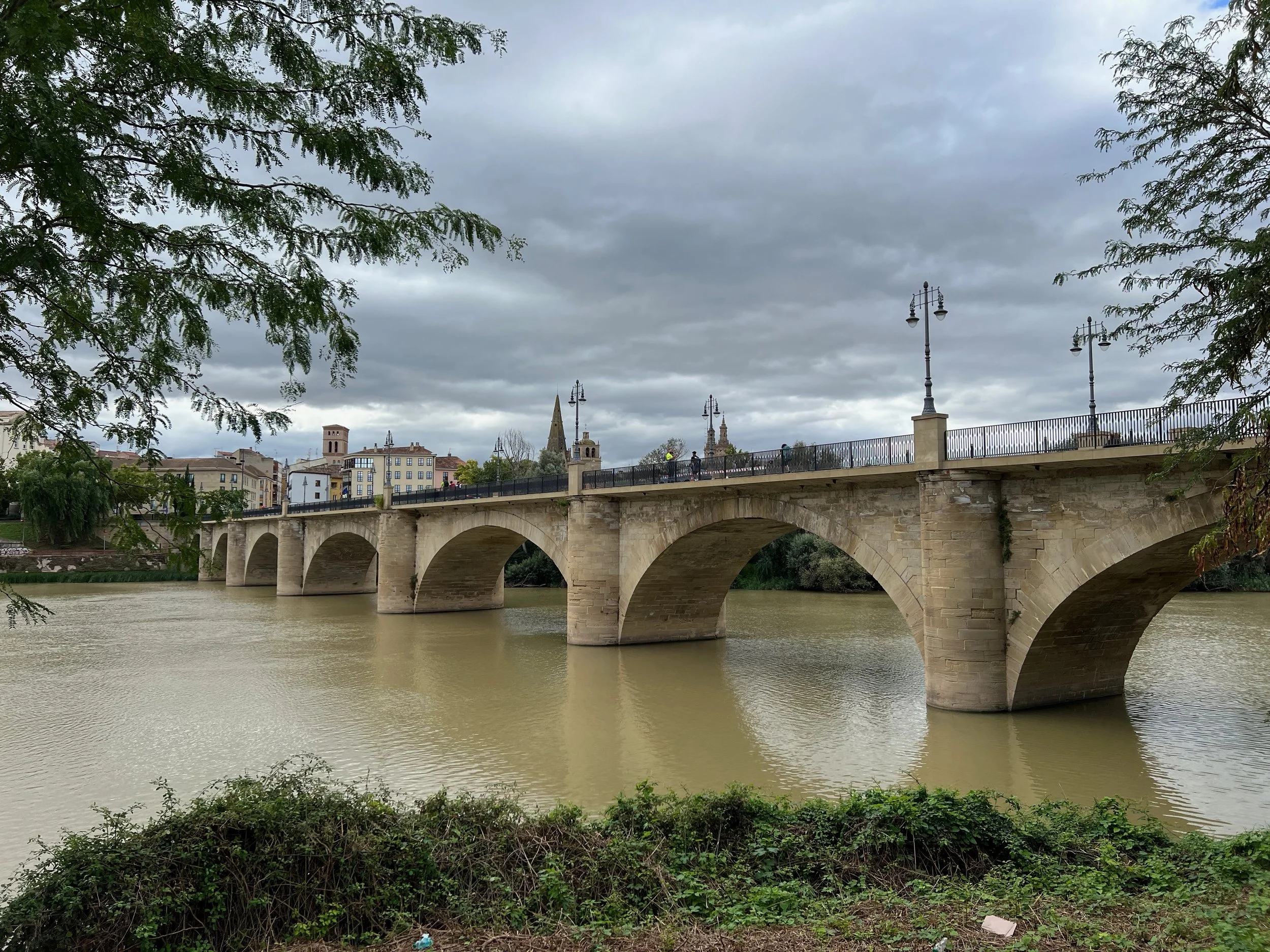 Camino Francés - Day 8: Sansol to Logroño