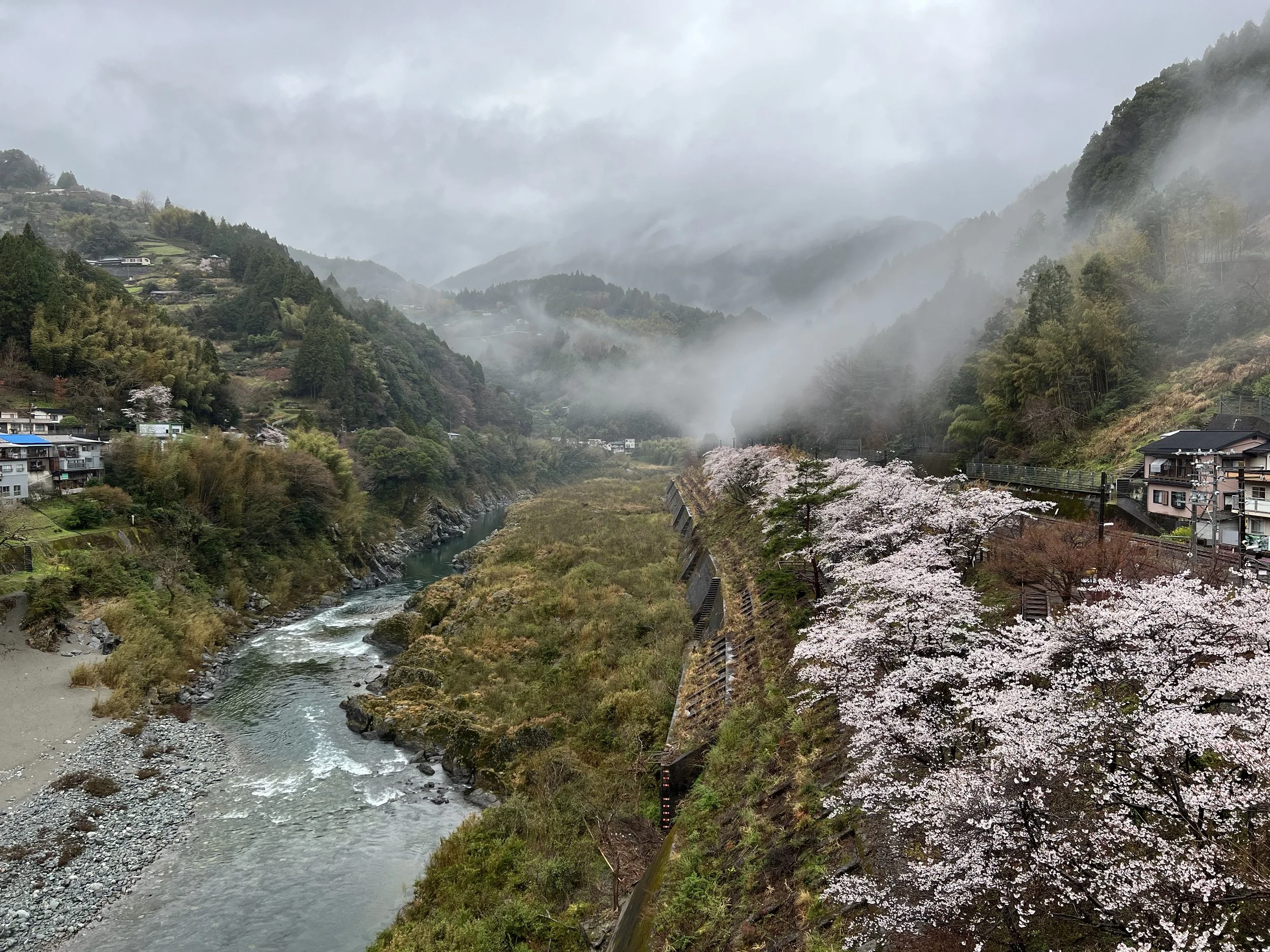 Oboke Gorge - Tokushima, Japan