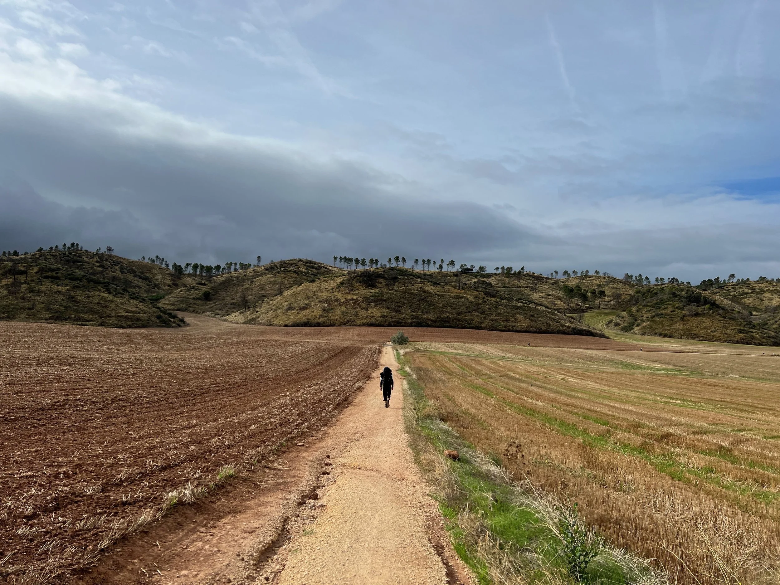 Camino Francés - Day 7: Estella to Sansol