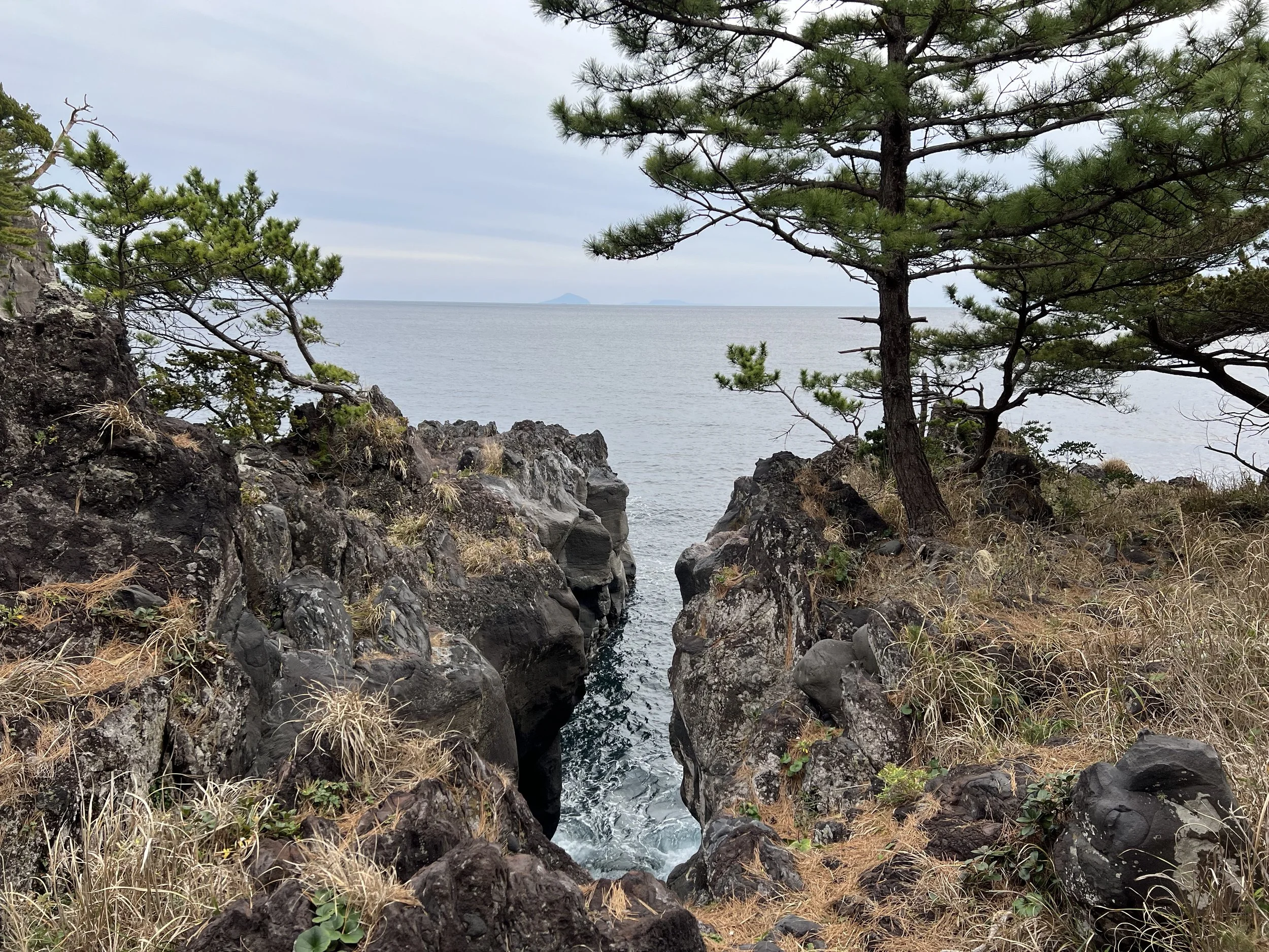 Jogasaki Coast - Shizuoka, Japan