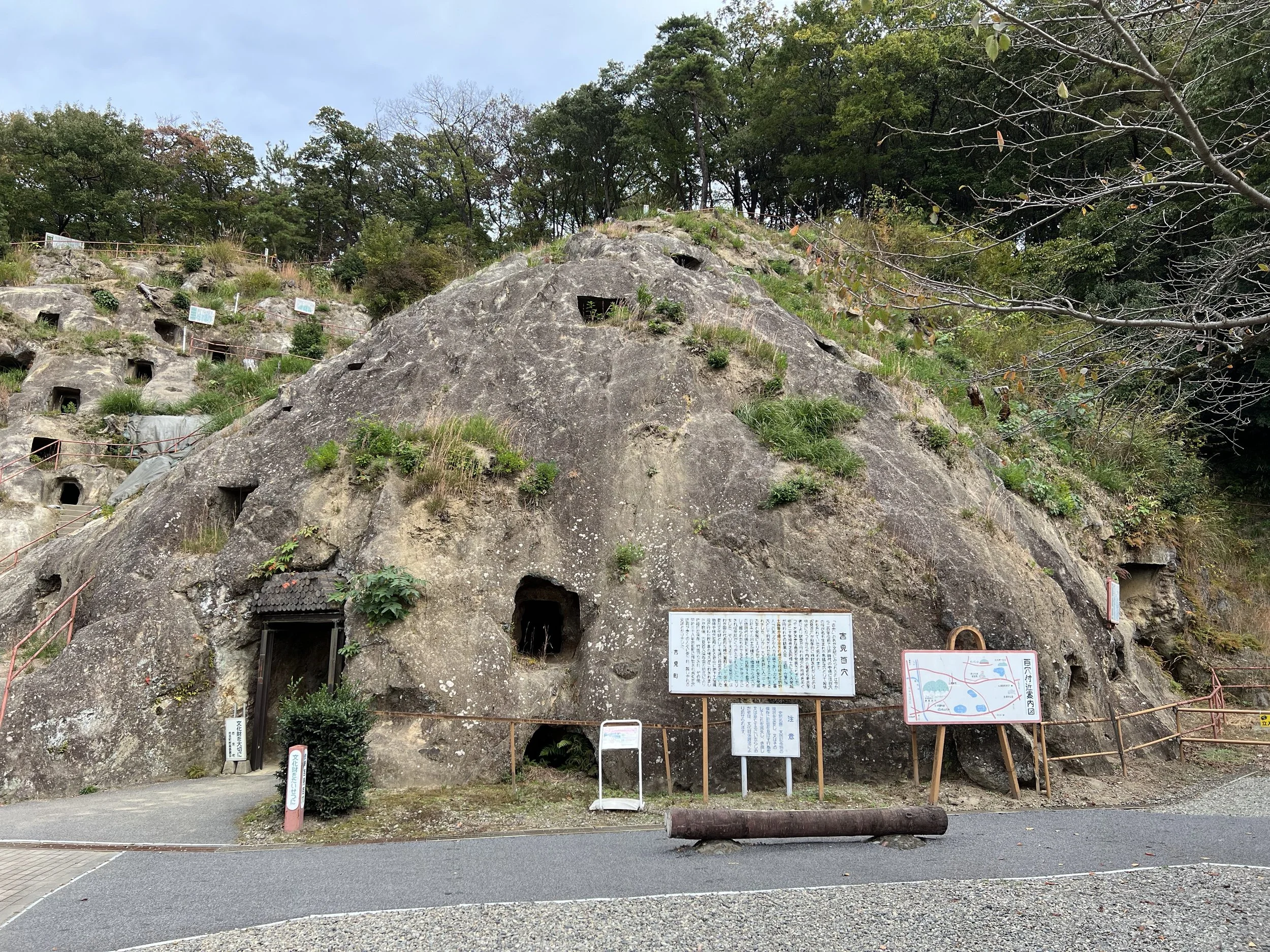 Yoshimi Hyakuana - Saitama, Japan
