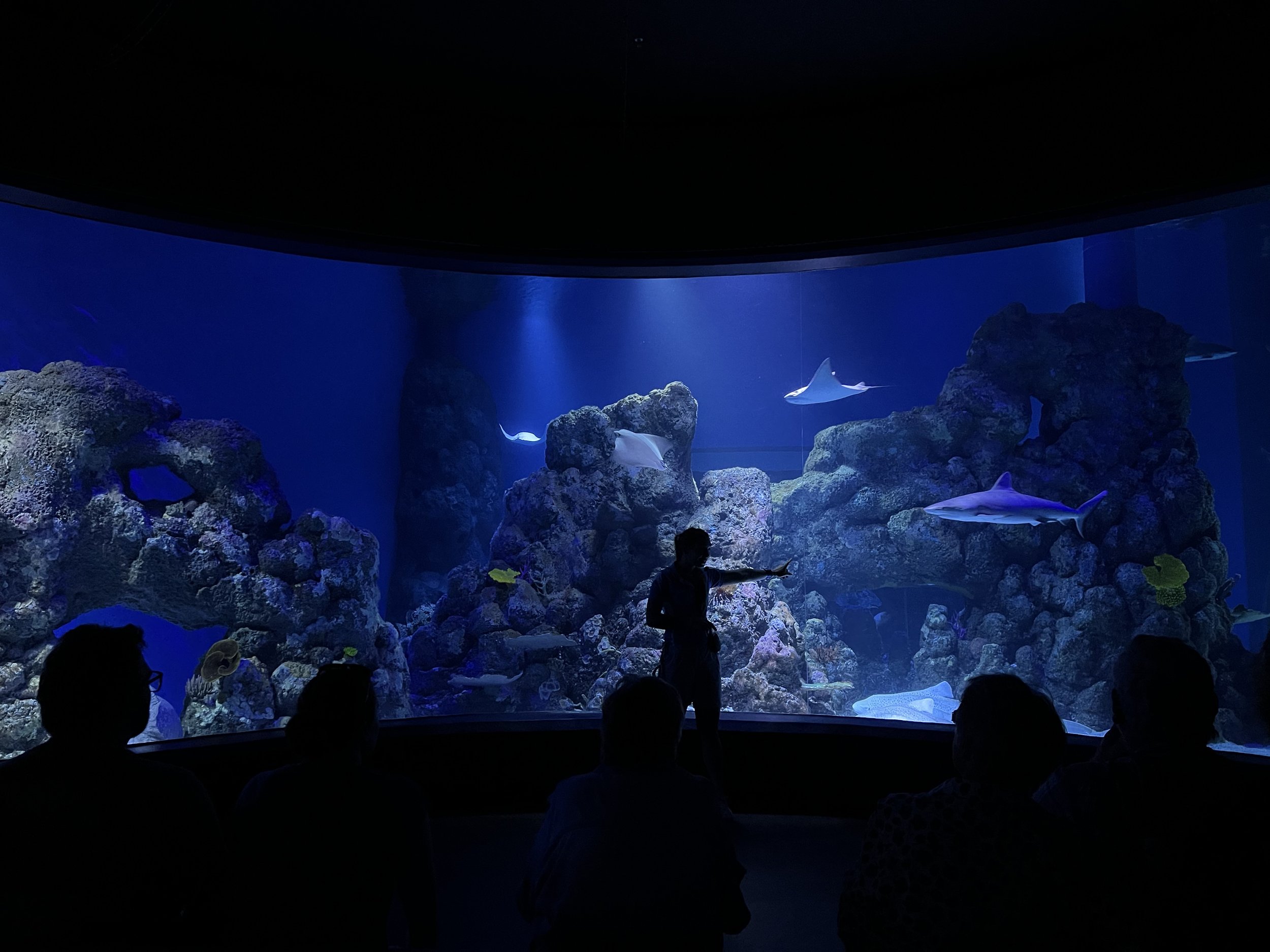 Cairns Aquarium- Queensland, Australia
