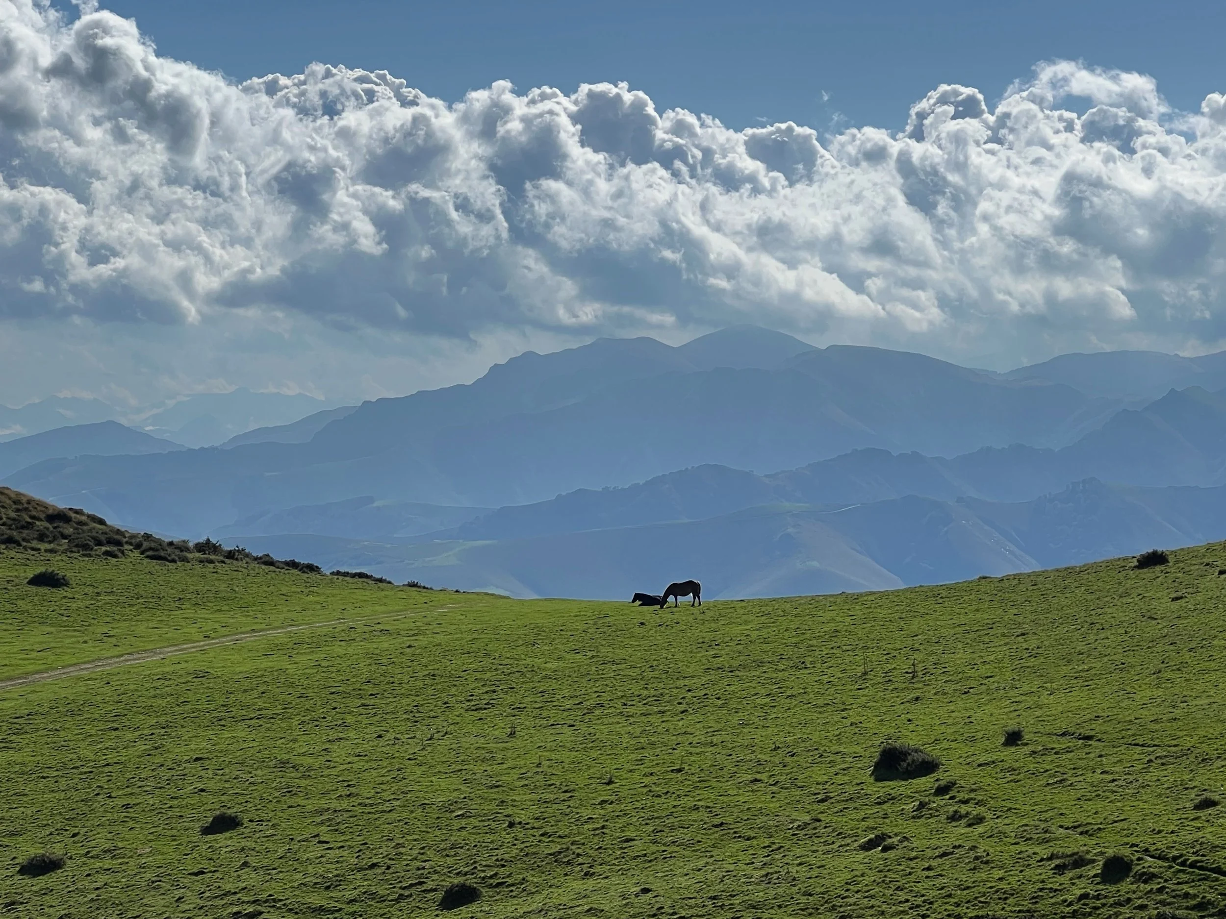 Camino Francés - Day 2: Saint Jean-Pied-de-Port to Roncesvalles