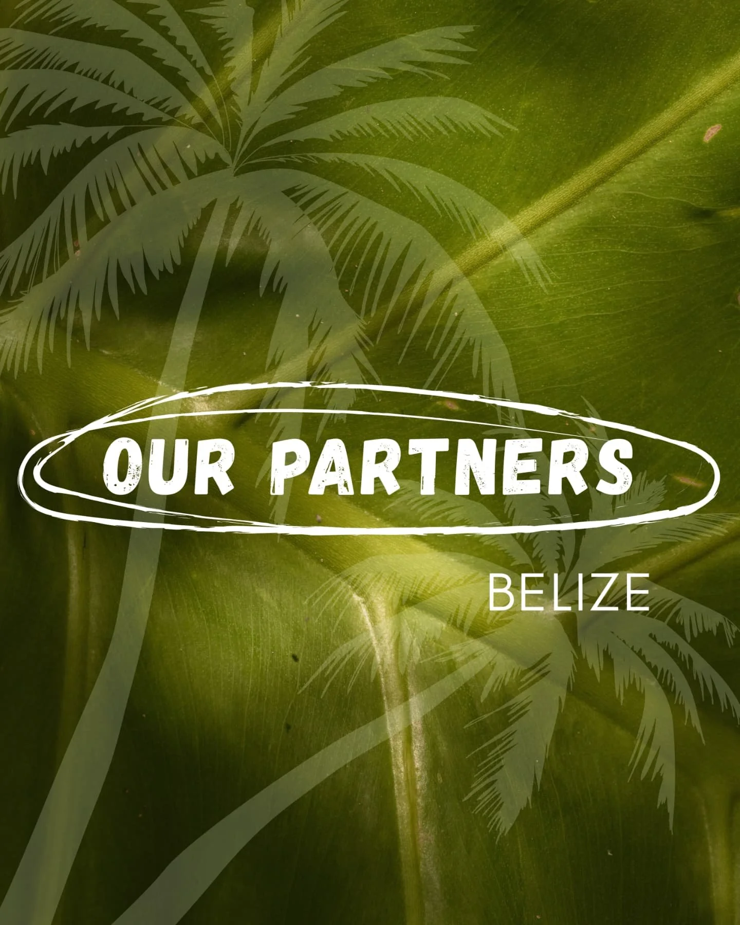 🌿 Meet Irene, the heart of Hope Feeding Program and a true force of love in Belize. 💚 Every time we return, we&rsquo;re inspired by her growth, resilience, and unwavering dedication to her community. From feeding children to planting seeds of chang