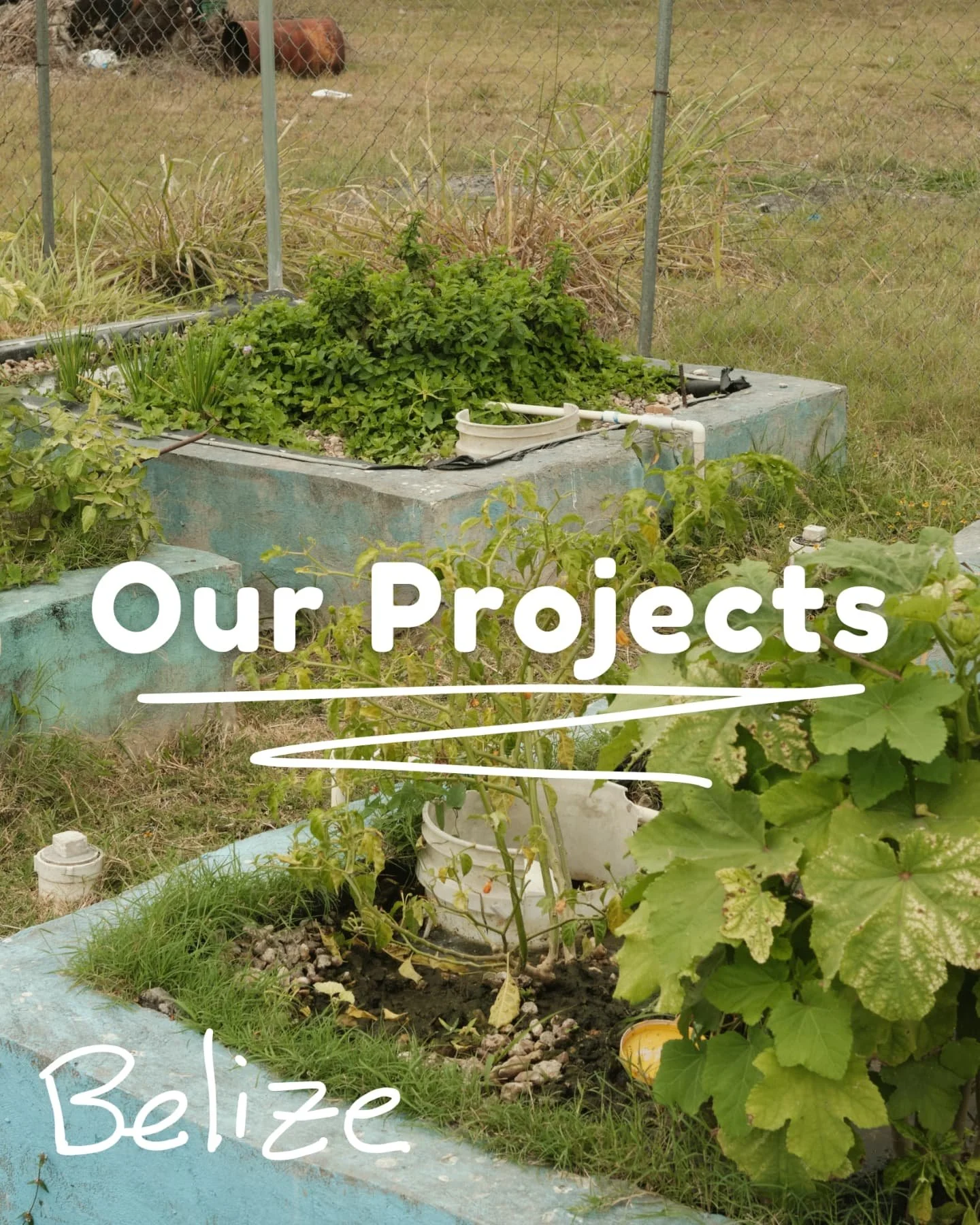 We&rsquo;re so proud to be bringing these impactful projects to life in Belize! 🌱

Through our aquaponics systems, we're helping rural communities in Orange Walk grow fresh food, conserve water, and create new jobs, all while nurturing a self-sustai