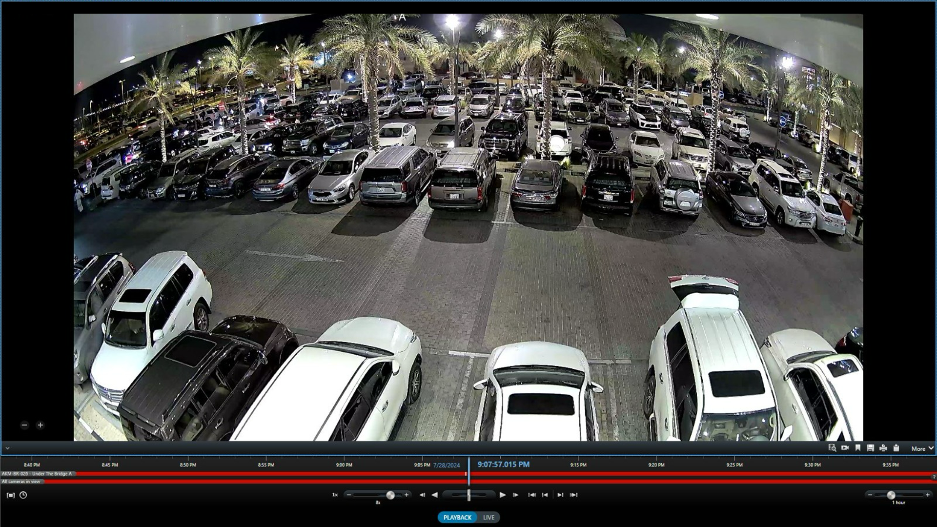 Nighttime view of a parking lot filled with various parked cars, palm trees, and overhead streetlights, captured by a security camera.