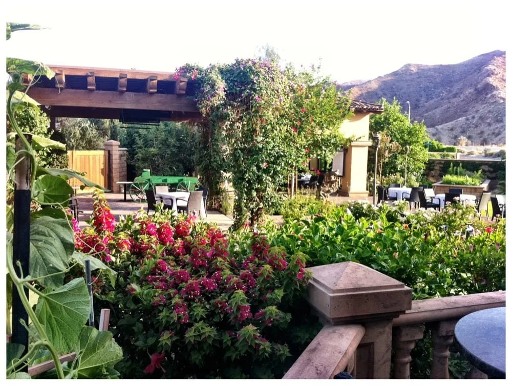 The Restaurant — La Spiga Ristorante Italiano