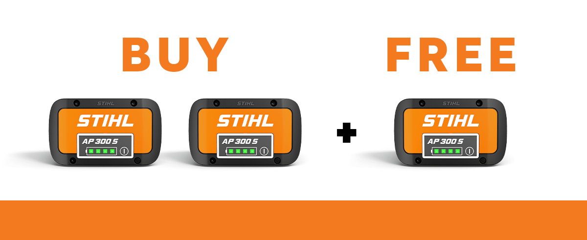 Buy300S.gif